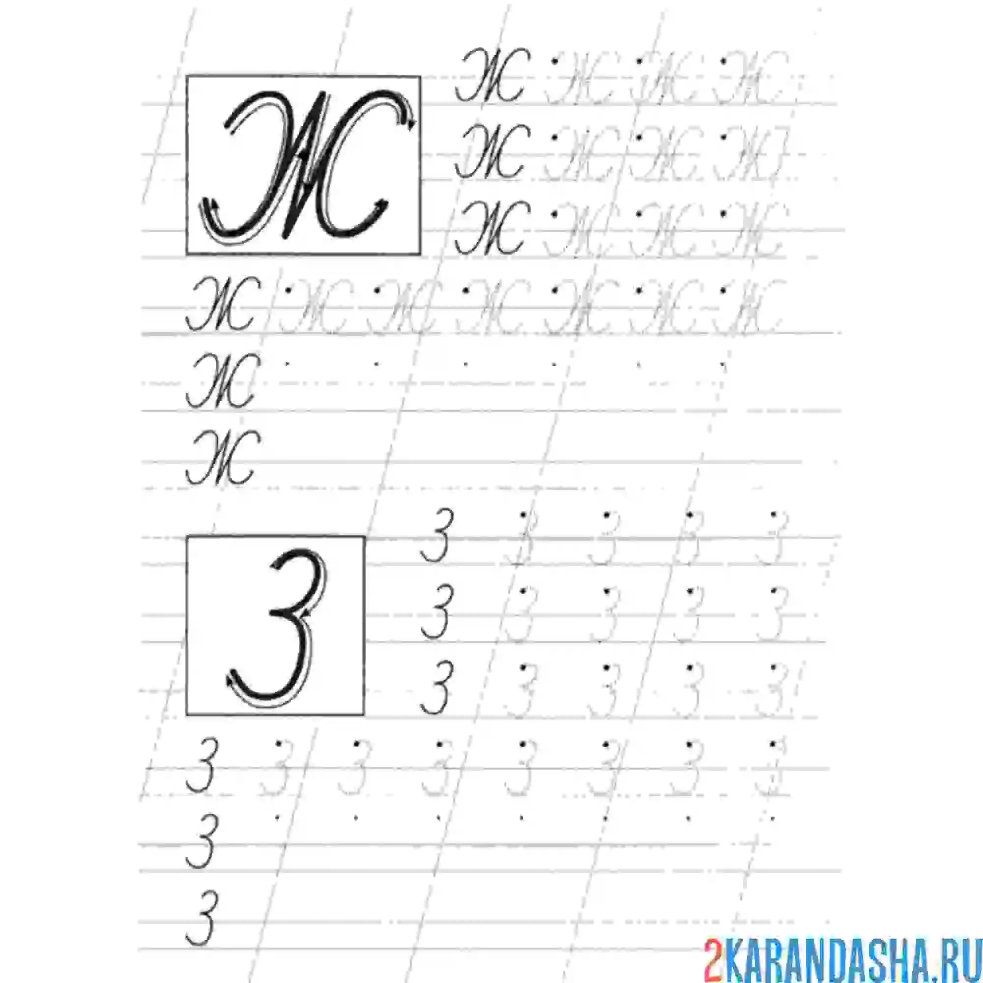 Раскраска пропись букву ж и з