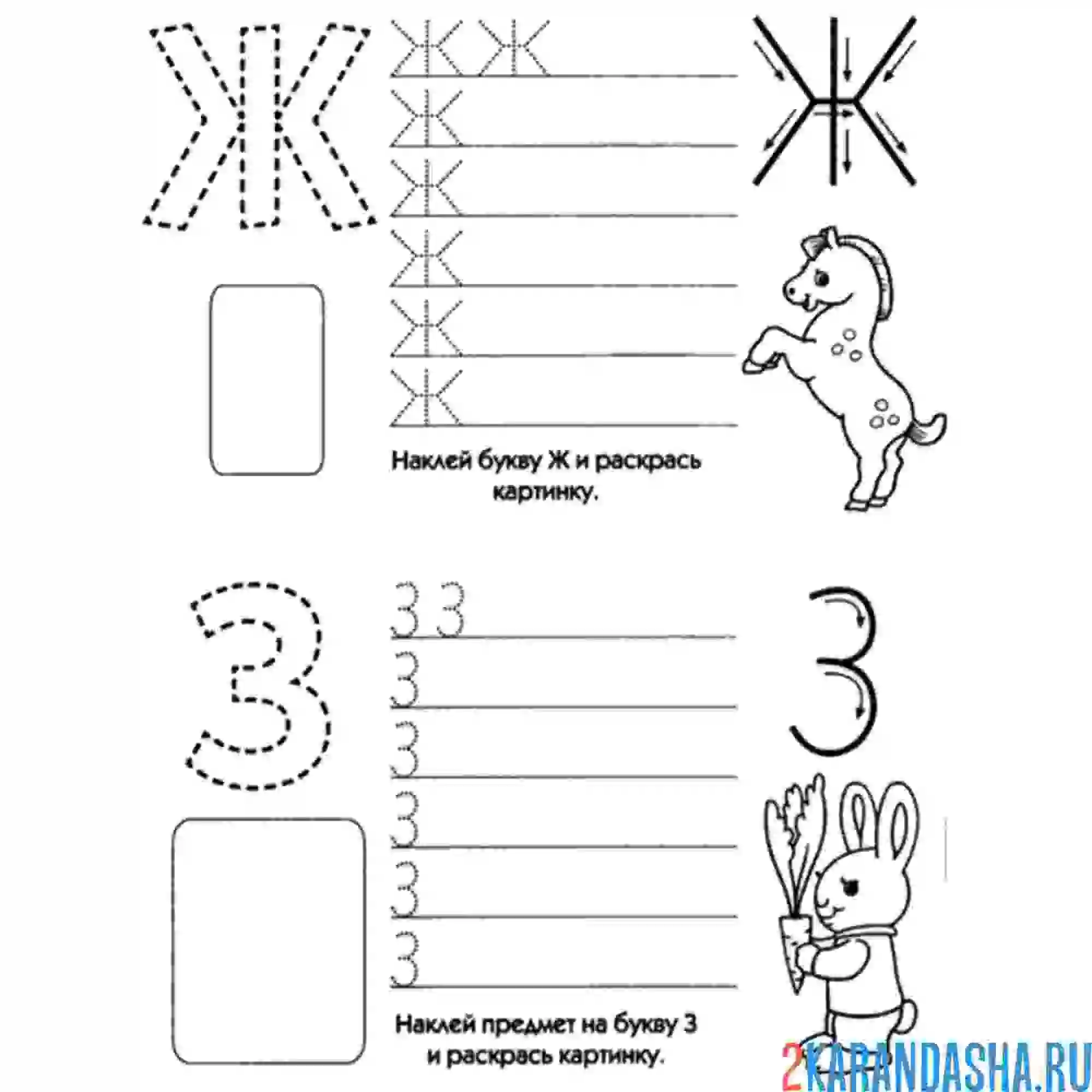 Раскраска пропись буква ж и з