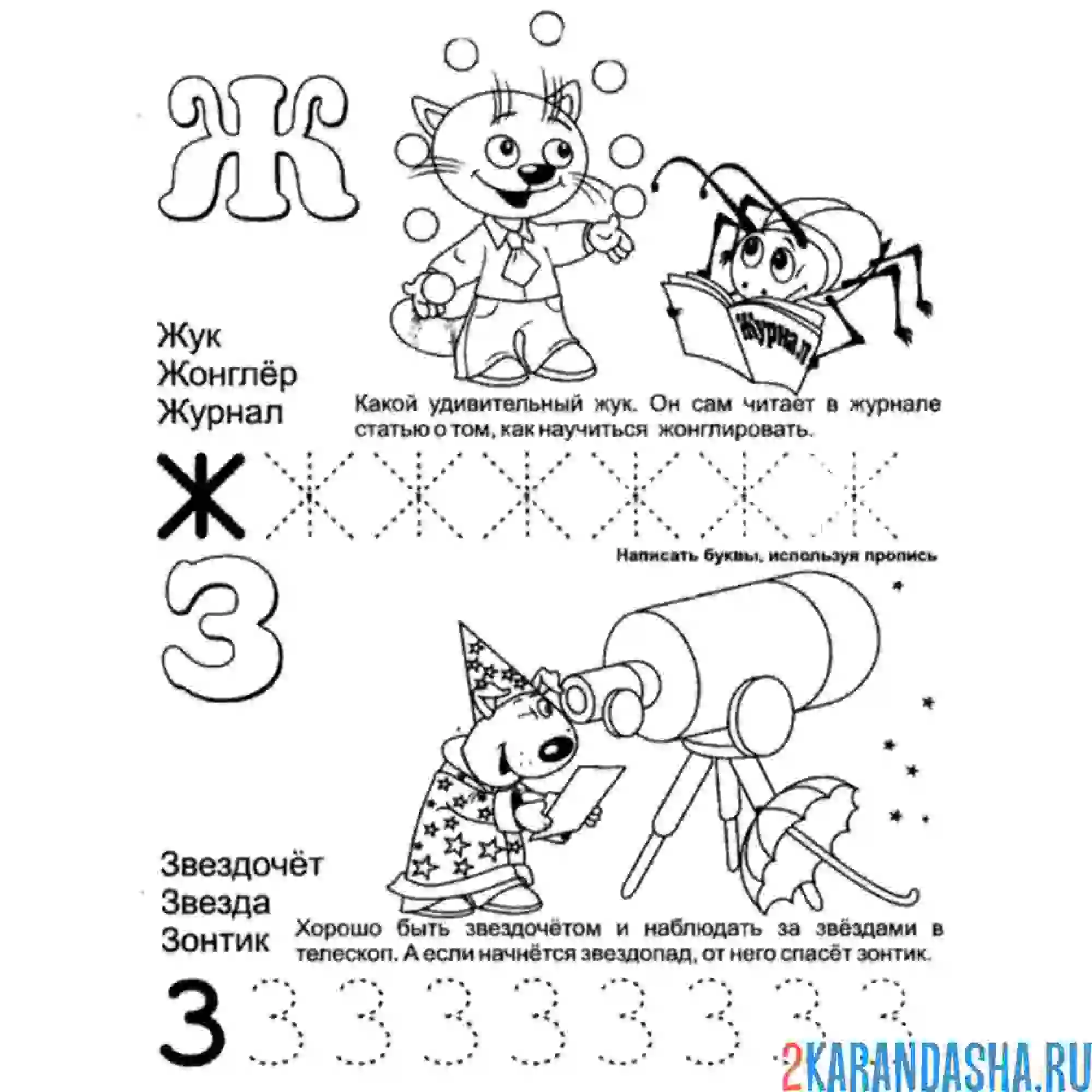 Раскраска буква ж и з