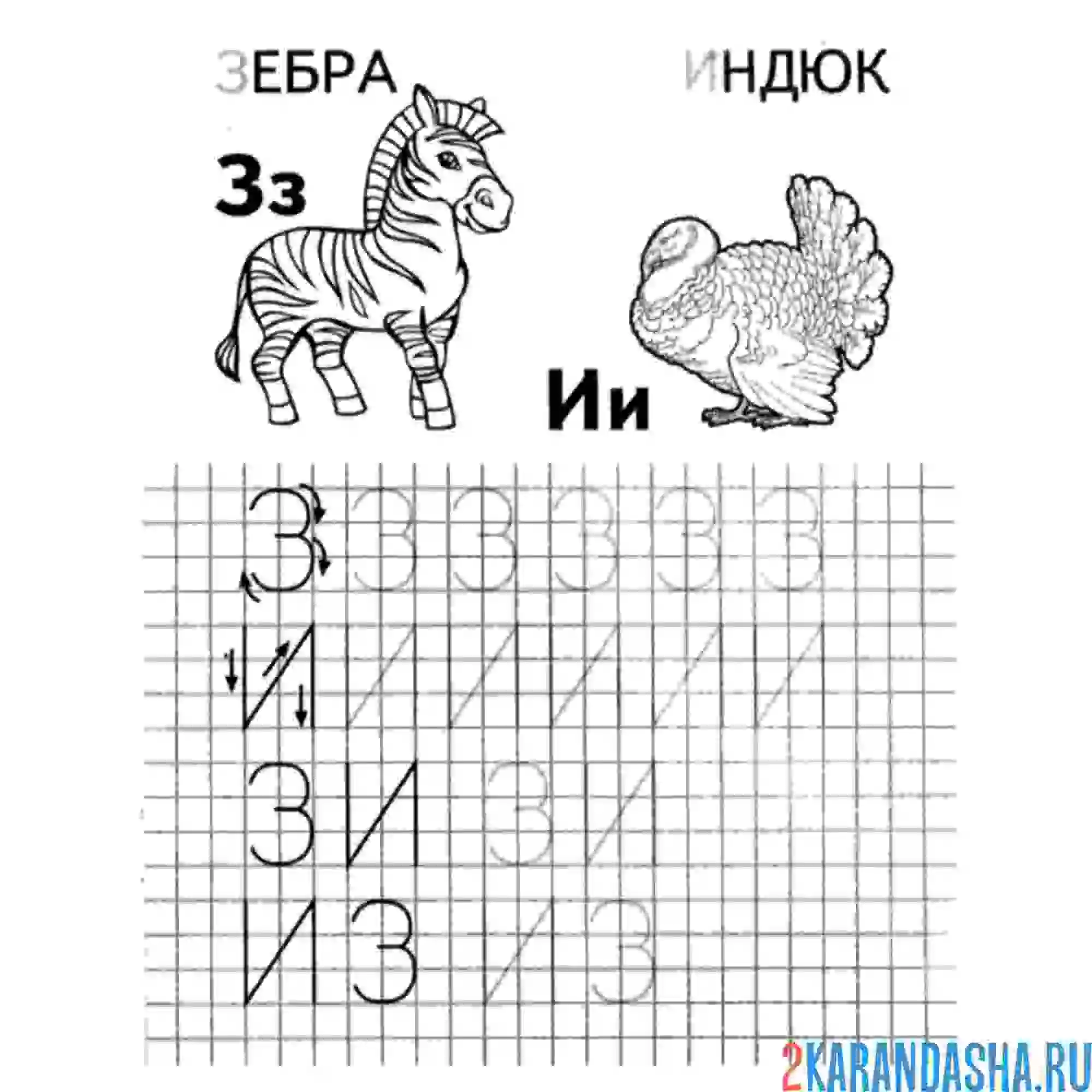 Раскраска печатная буква з и и