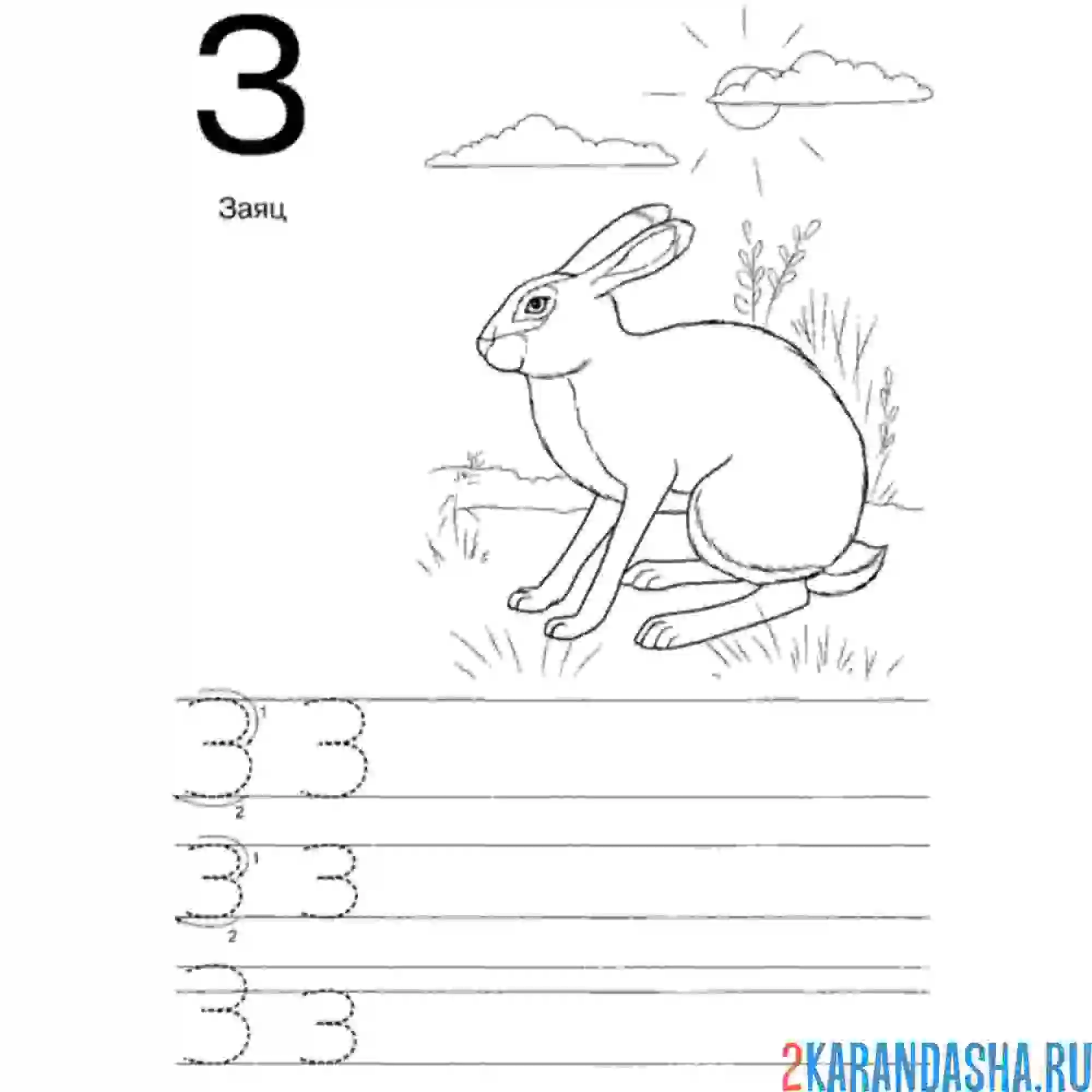 Раскраска обведи и напиши букву з печатная