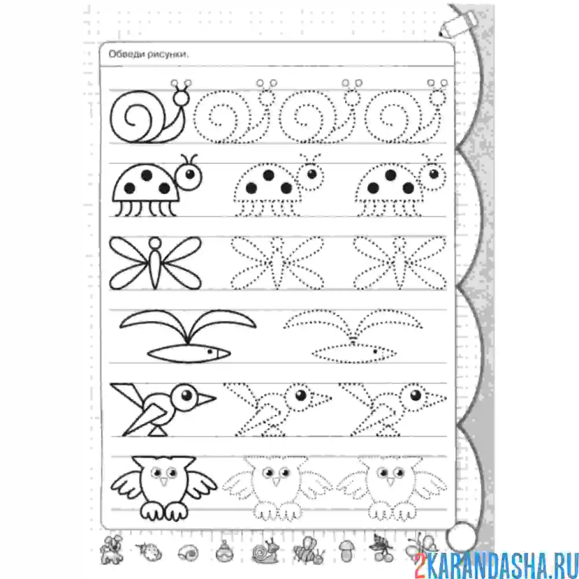 Раскраска обведи рисунки на прописи
