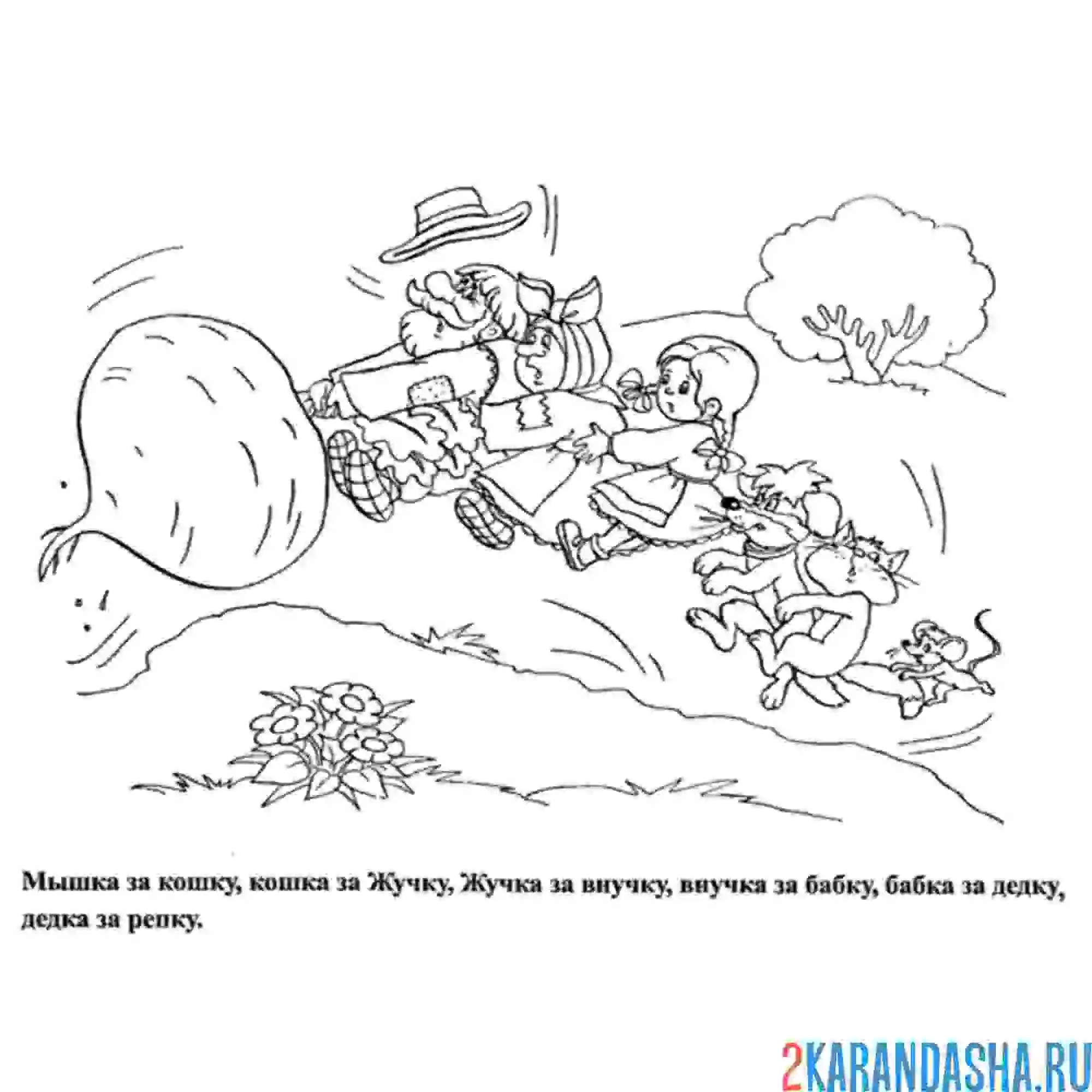 Раскраска вытянули репку