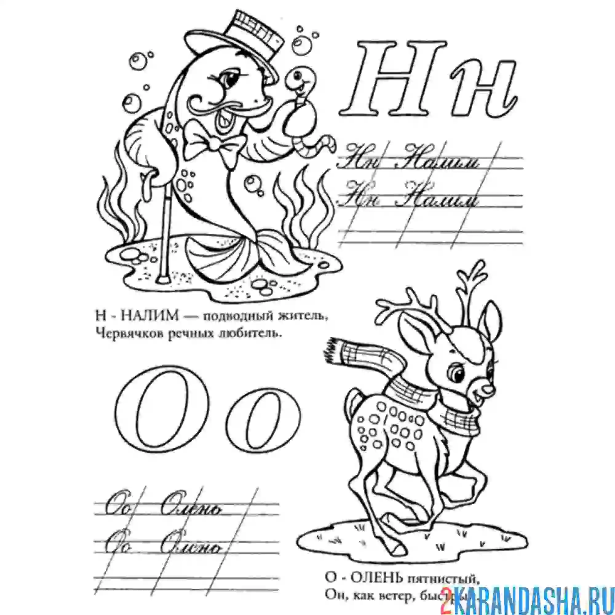 Раскраска прописи буква н о