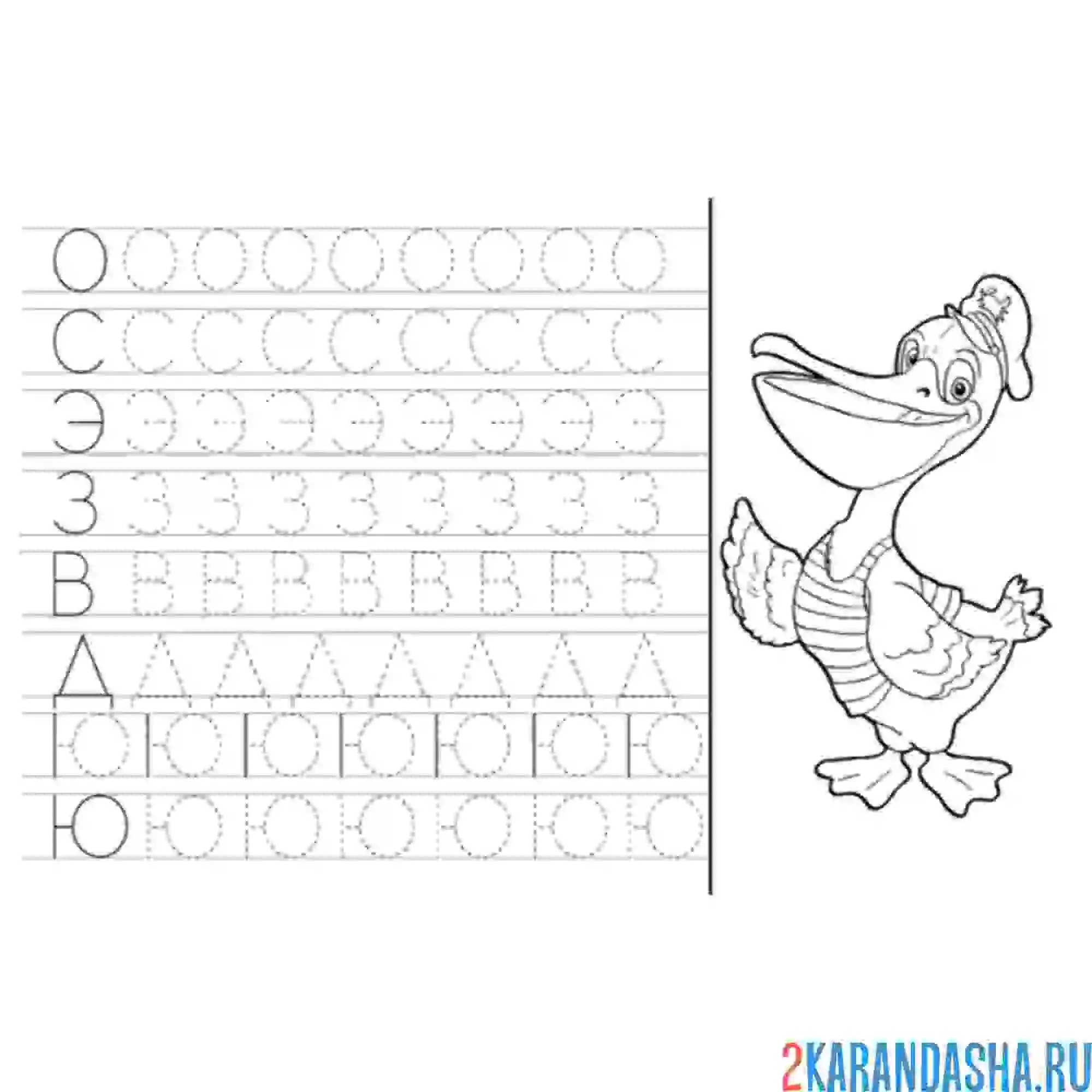 Раскраска пропись буквы разные дошкольник
