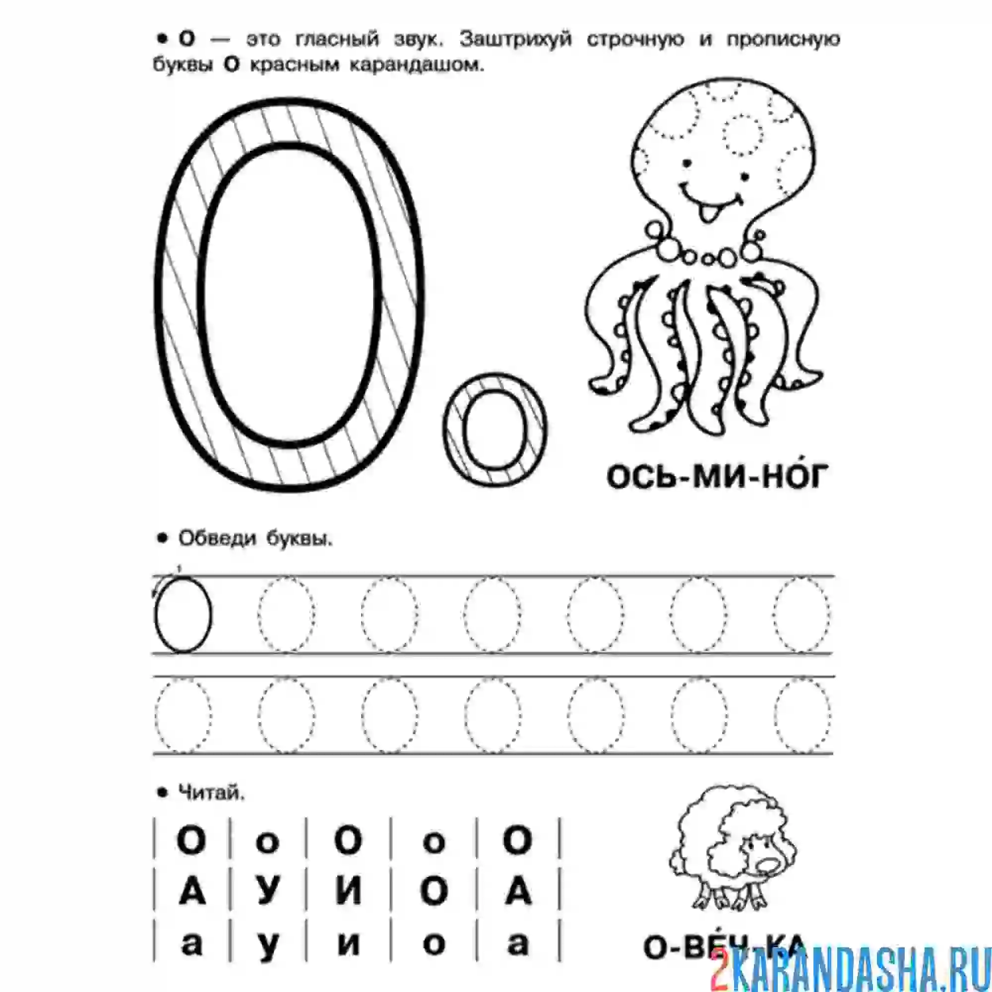 Раскраска пропись буква о печатная