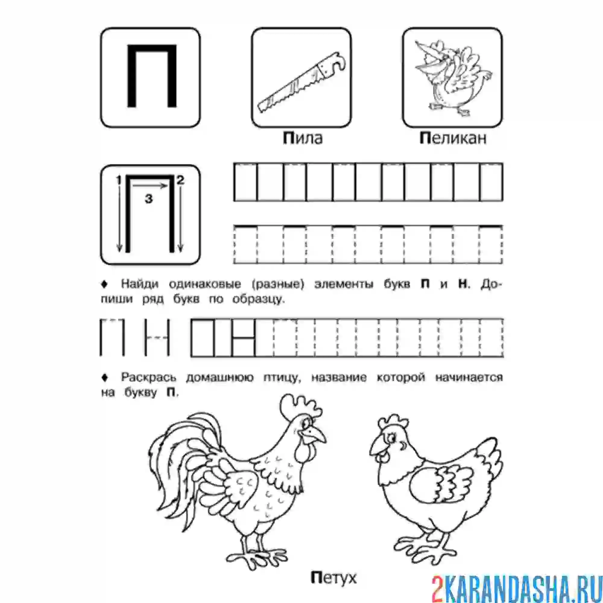 Раскраска пропись буква п с рисунком