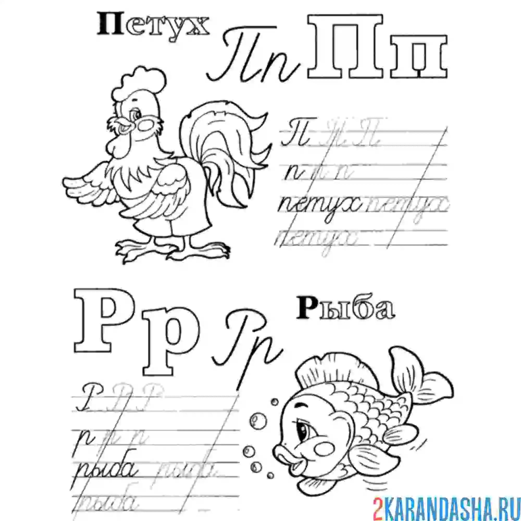 Раскраска прописные буквы п р