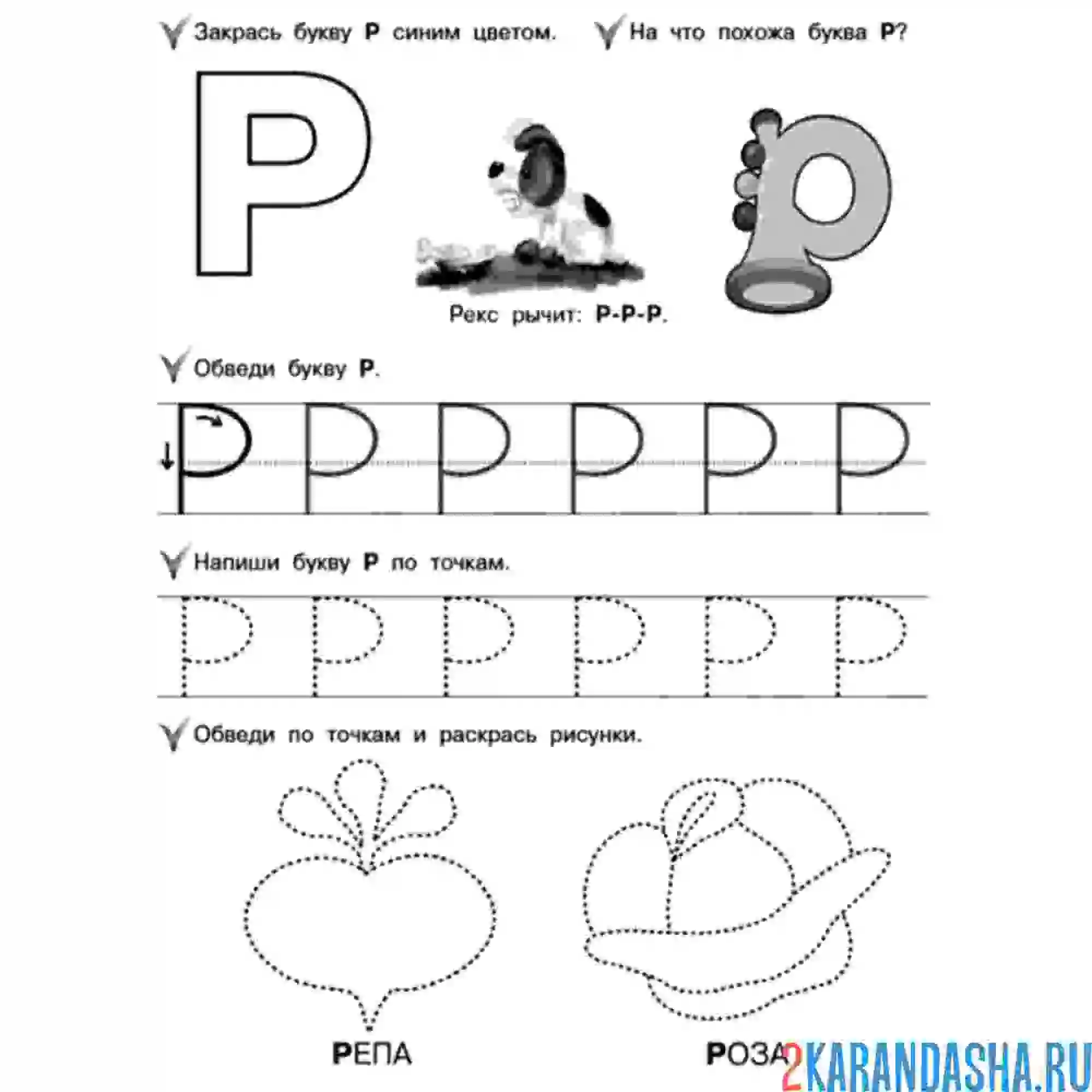 Раскраска учимся писать печатную букву р
