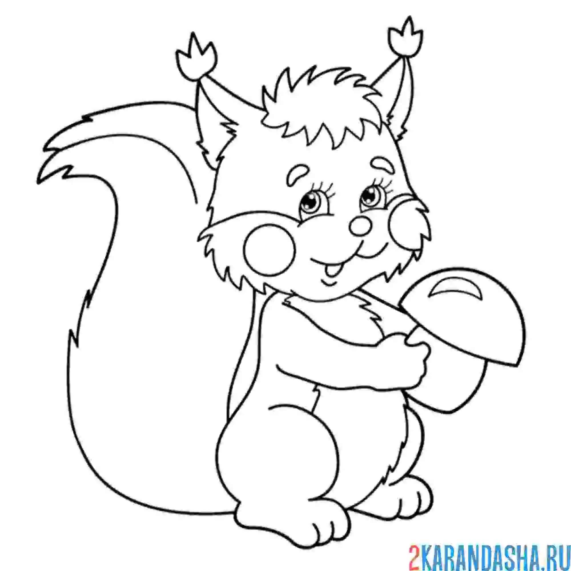 Раскраска белочка держит гриб