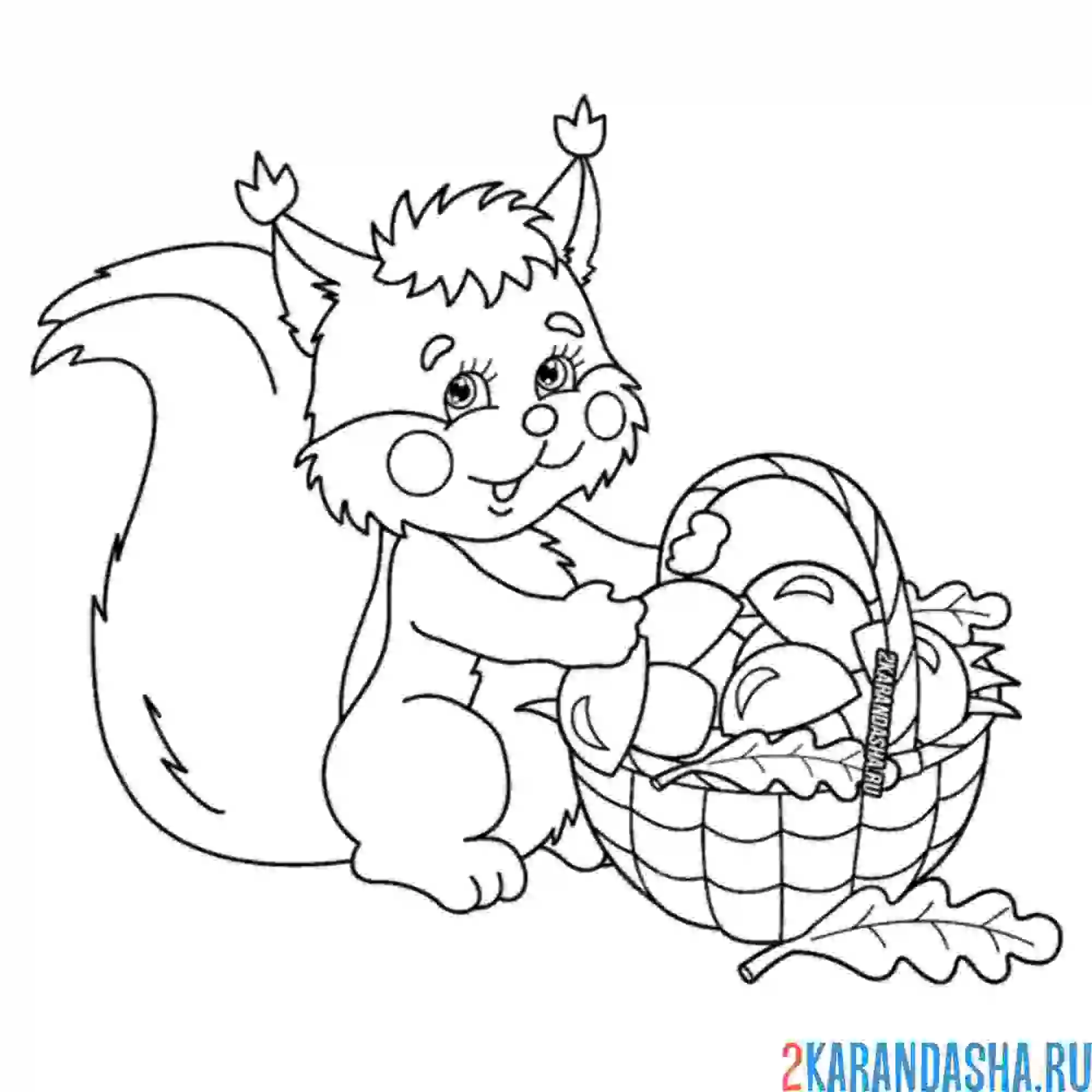 Раскраска белка и лукошко с грибами
