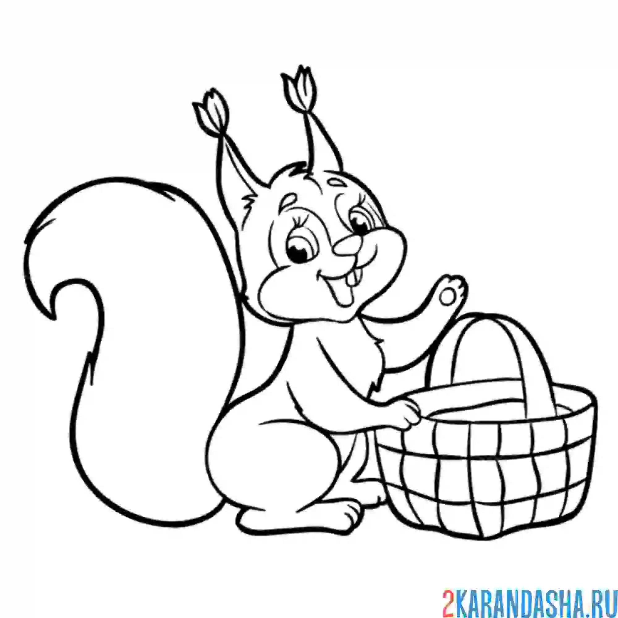 Раскраска белочка с корзинкой
