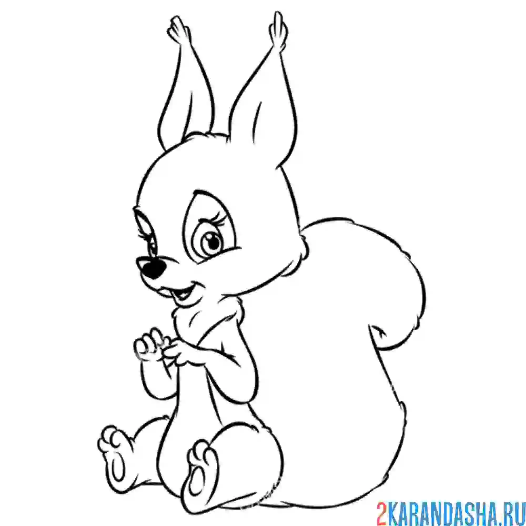 Раскраска белка сидит