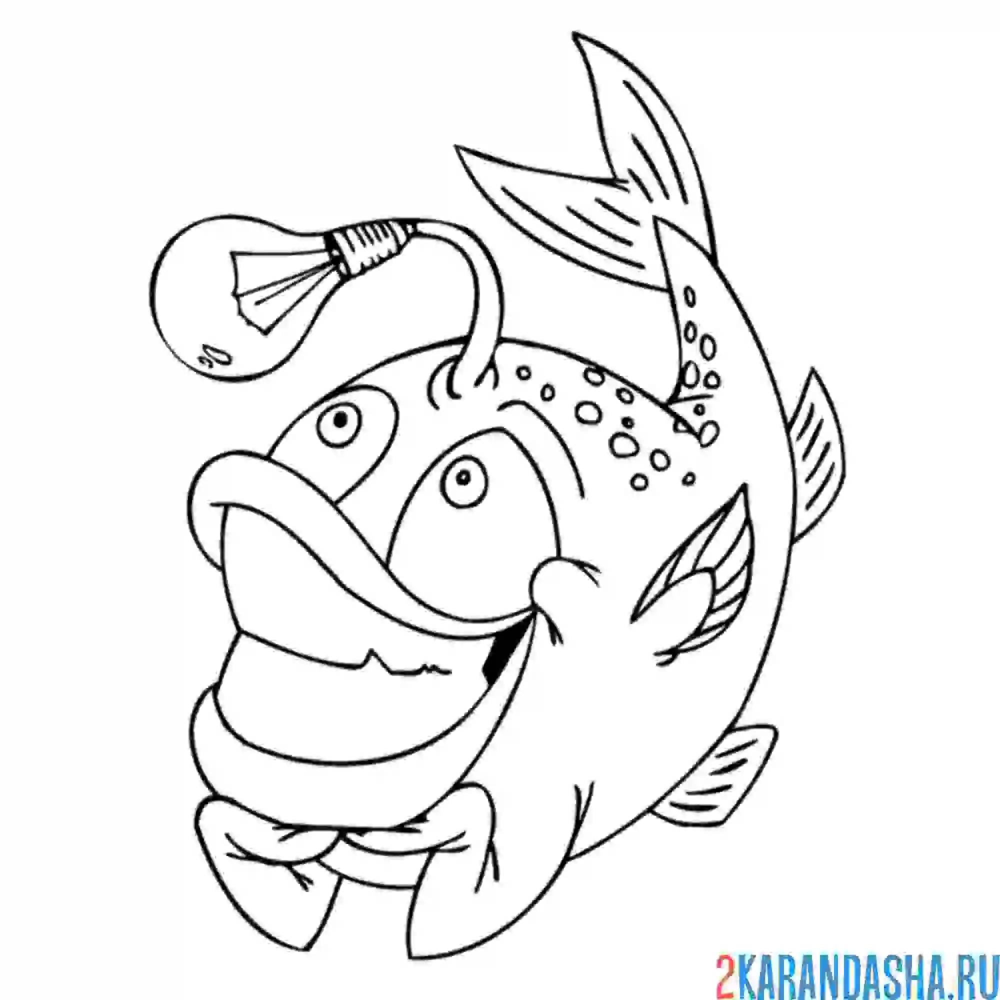 Раскраска рыба фонарь