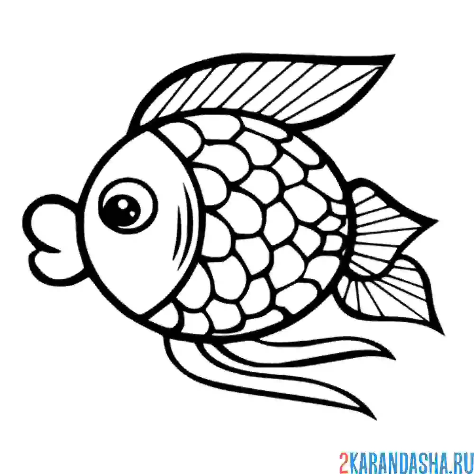 Раскраска простая рыбка для самых маленьких