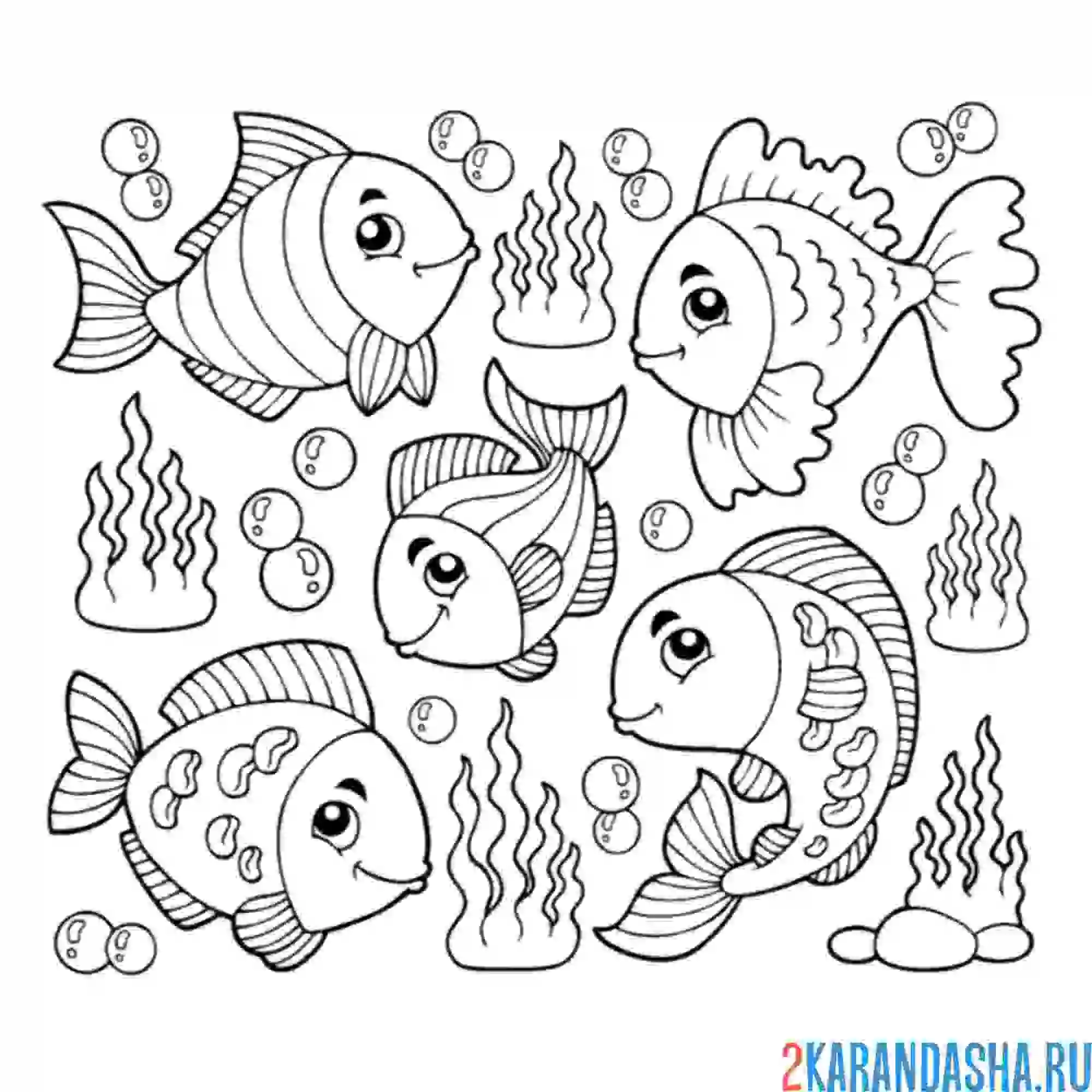 Раскраска красивые морские рыбки