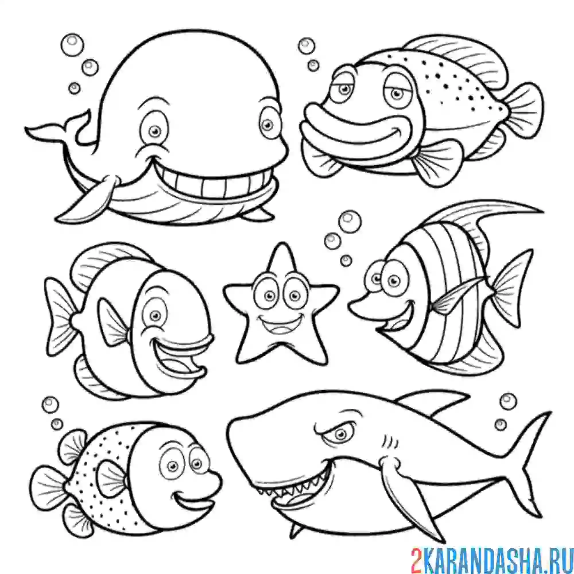 Раскраска назови всех морских обитателей