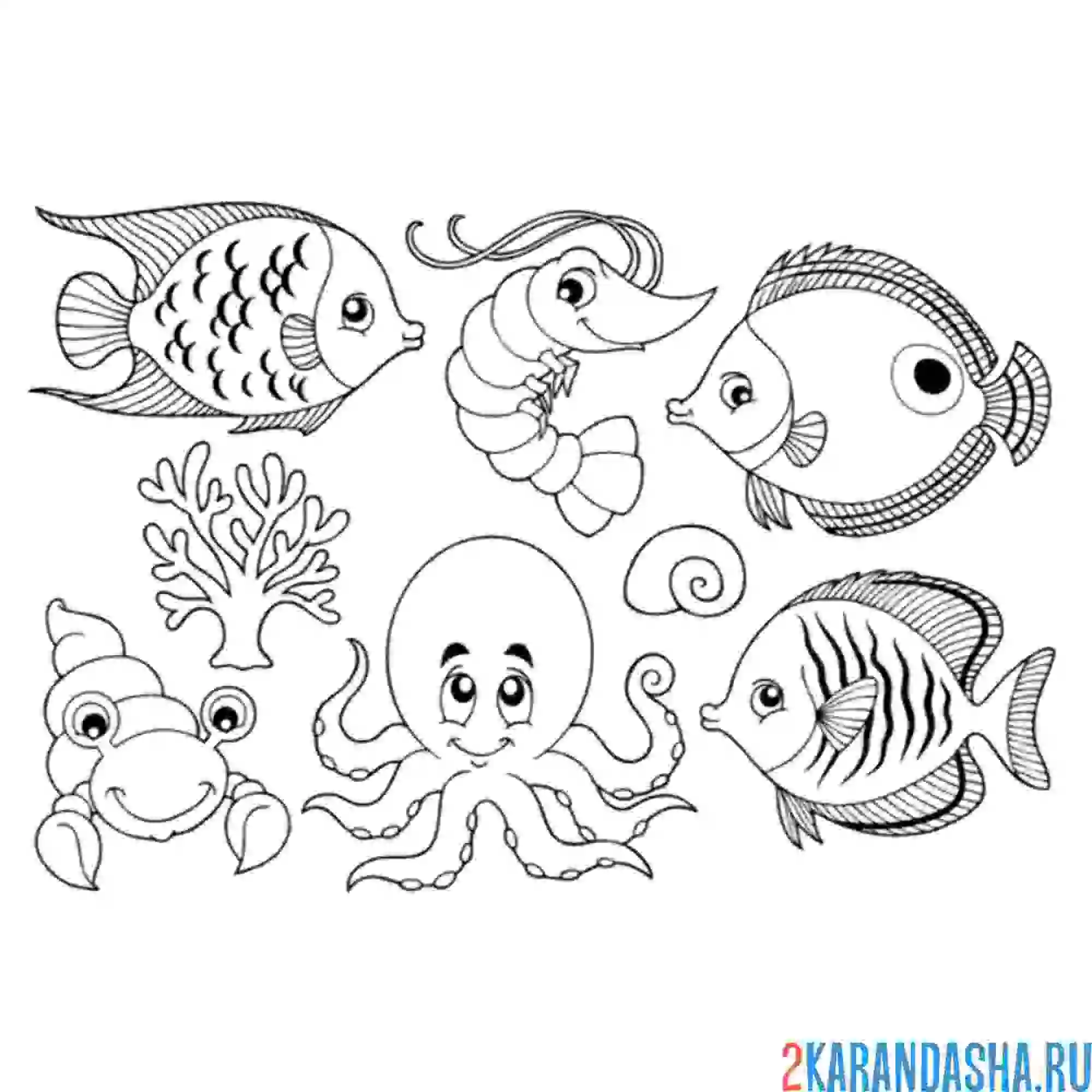 Раскраска морские обитатели разные