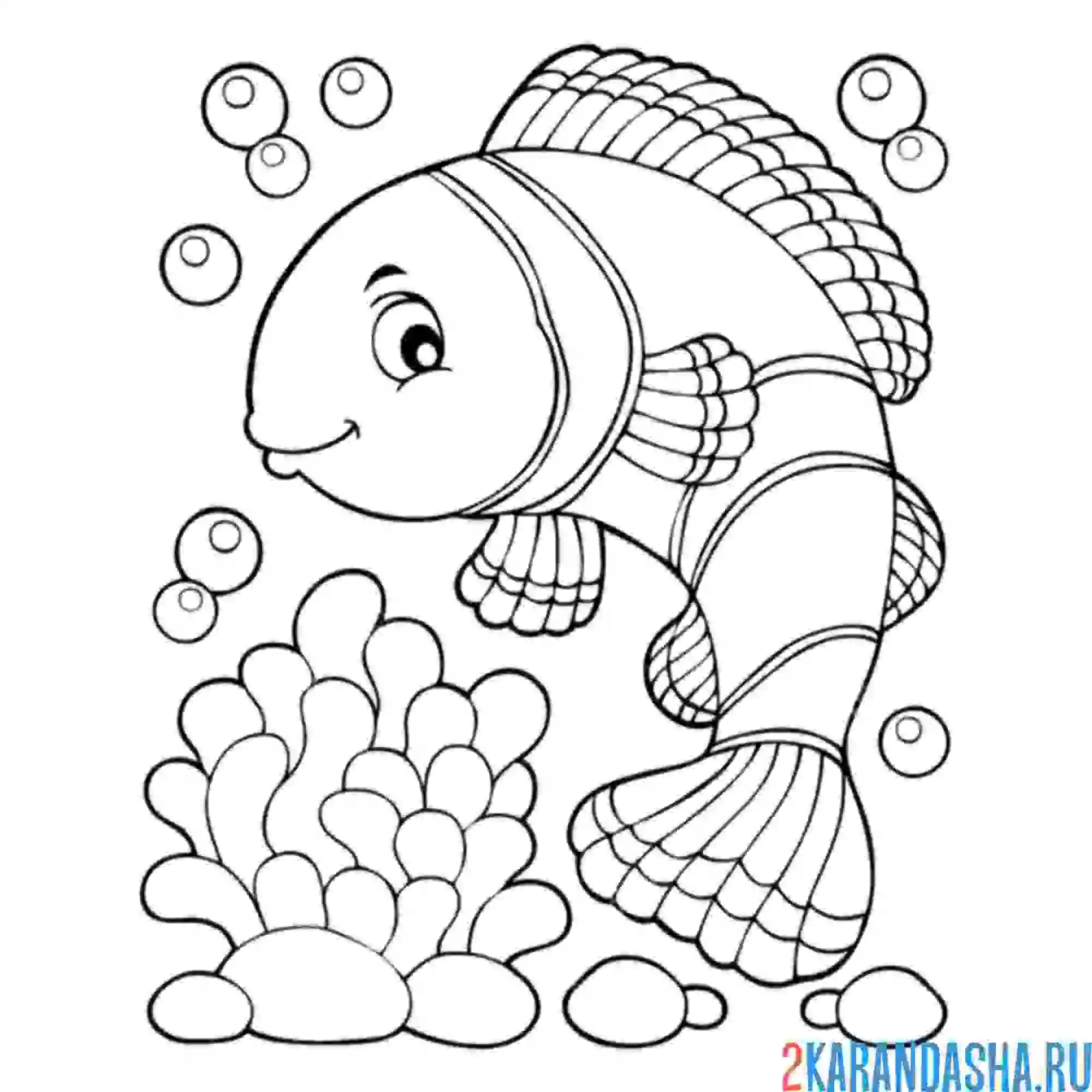 Раскраска морская рыбка и риф