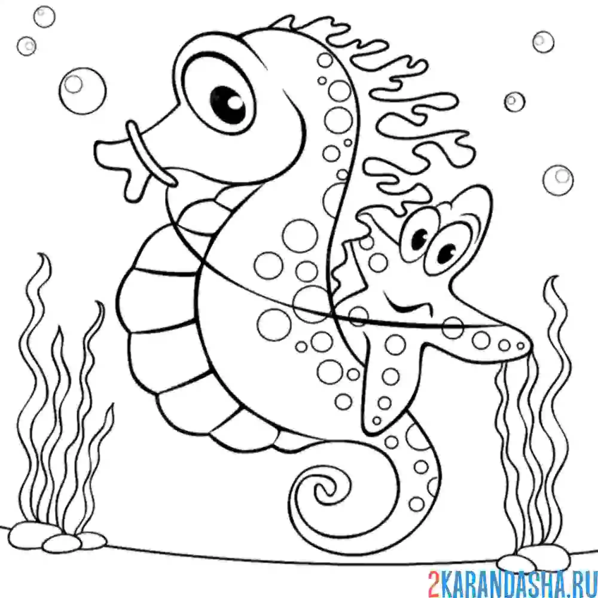 Раскраска морской конек и звезда