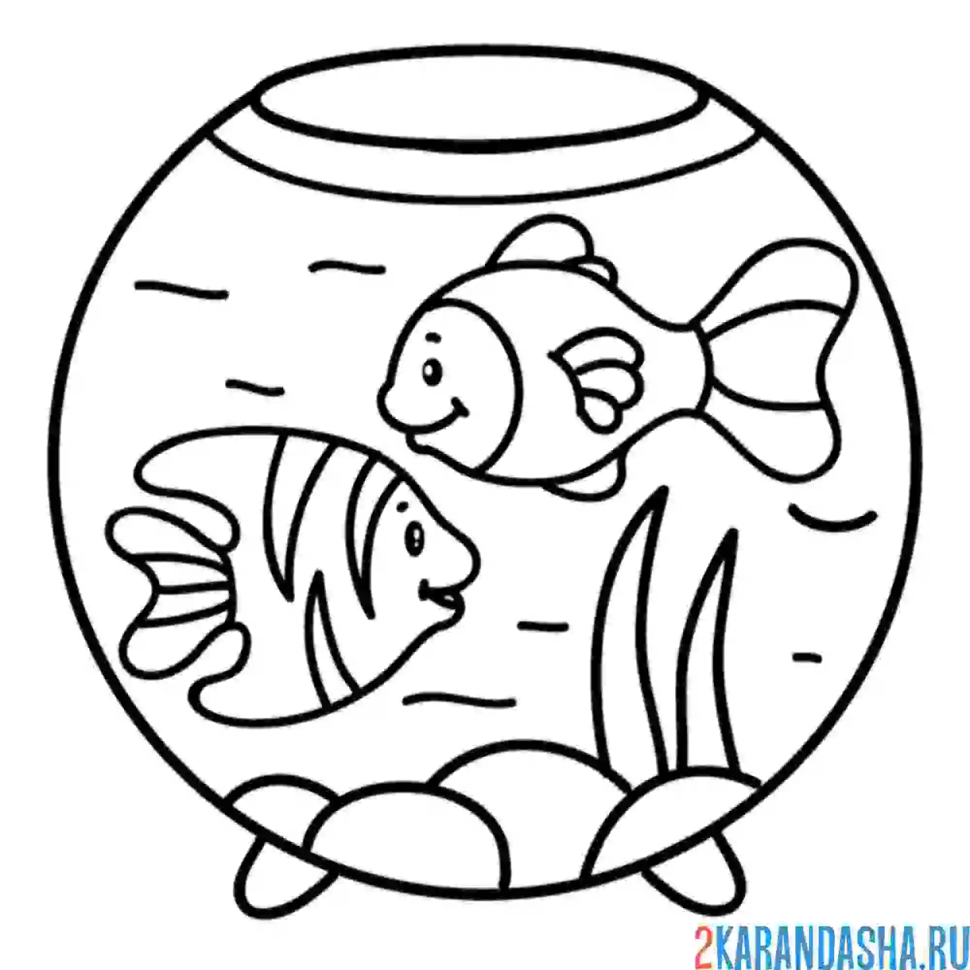 Рыбы для детей 3 4 лет. Раскраска аквариум с рыбками. Аквариум раскраска для детей. Аквариумные рыбки раскраска. Аквариумные рыбки раскраска для детей.