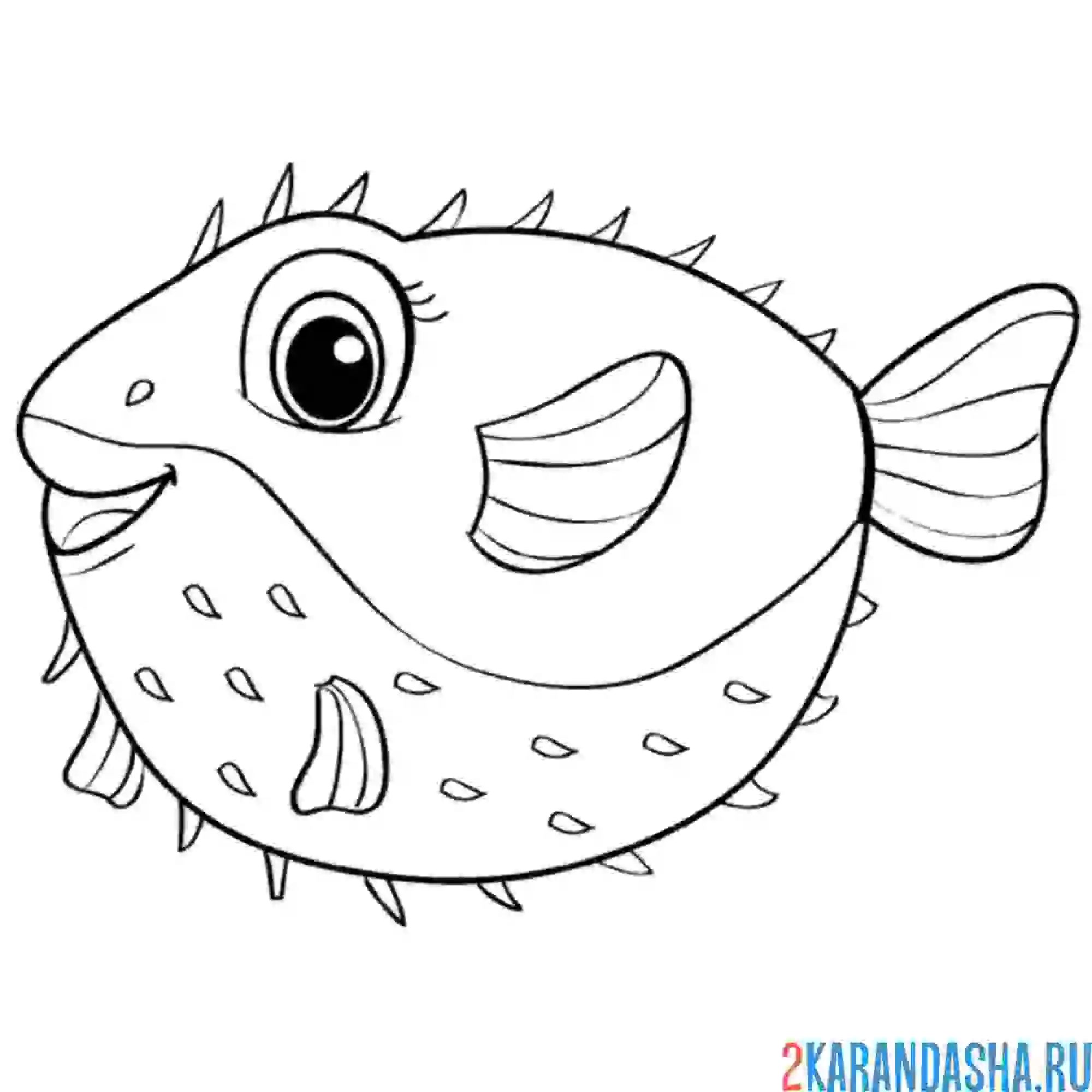 Раскраска фугу рыбка