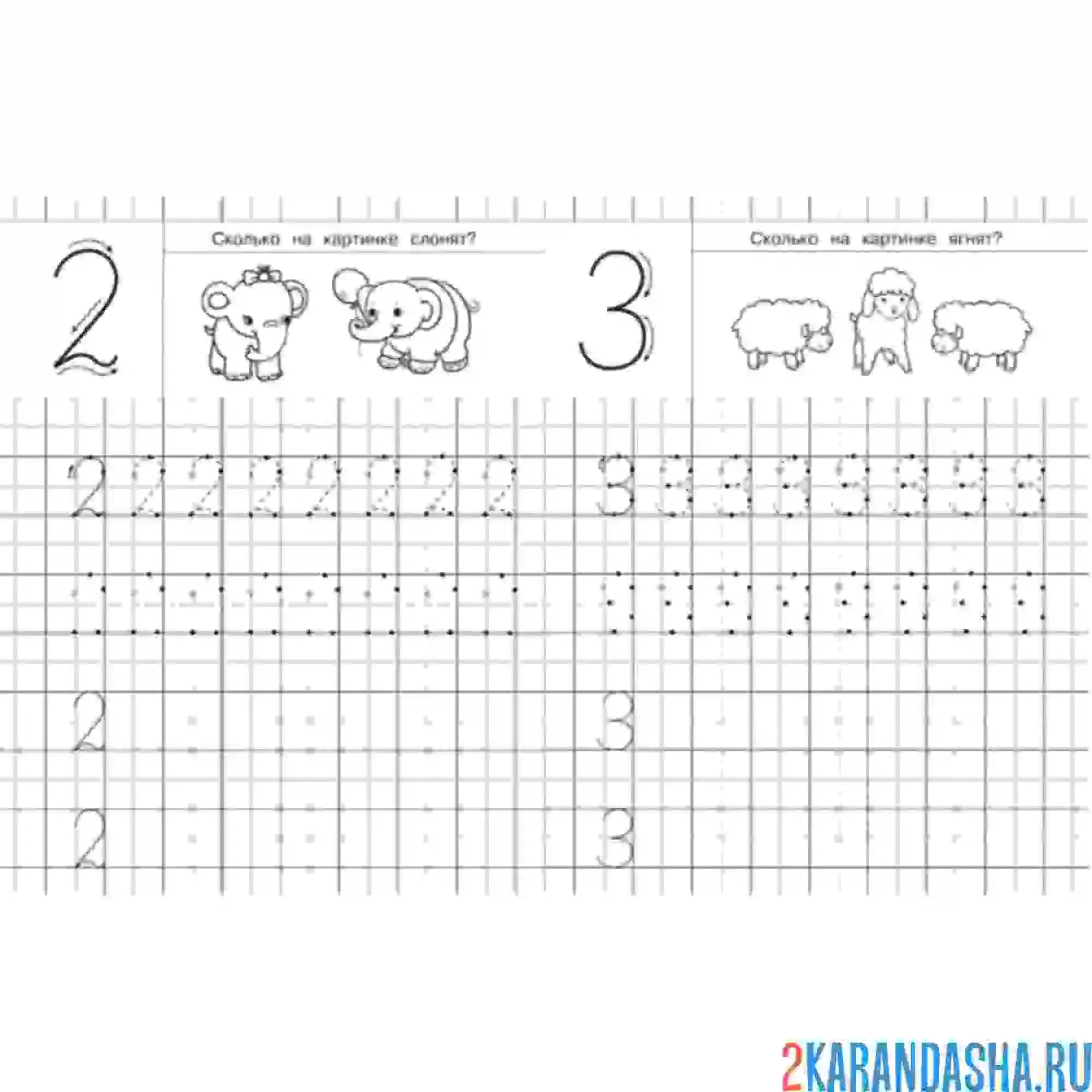 Раскраска пропись цифры 2 и 3 с заданием
