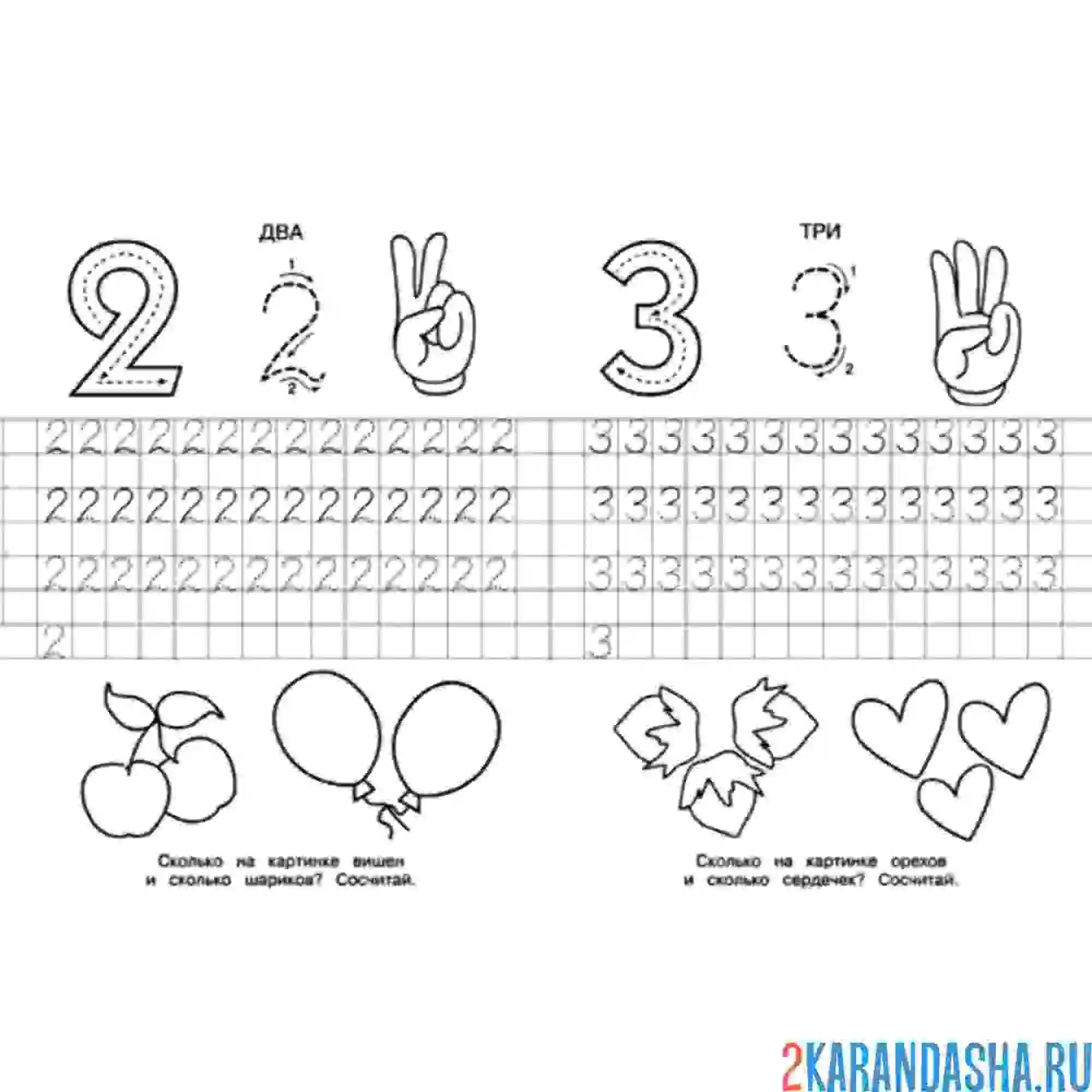 Раскраска цифры 2 и 3 в прописи