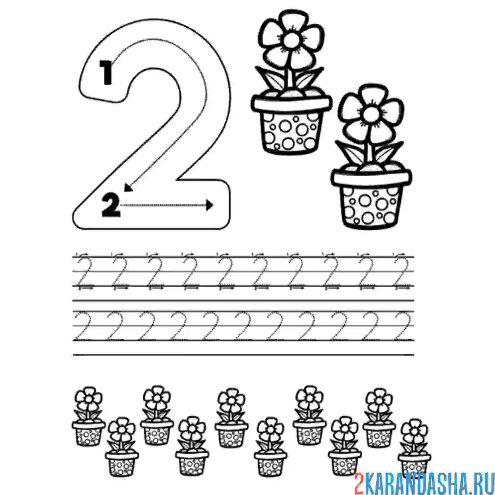 Раскраска пропись цифра 2 и задание посчитать картинки
