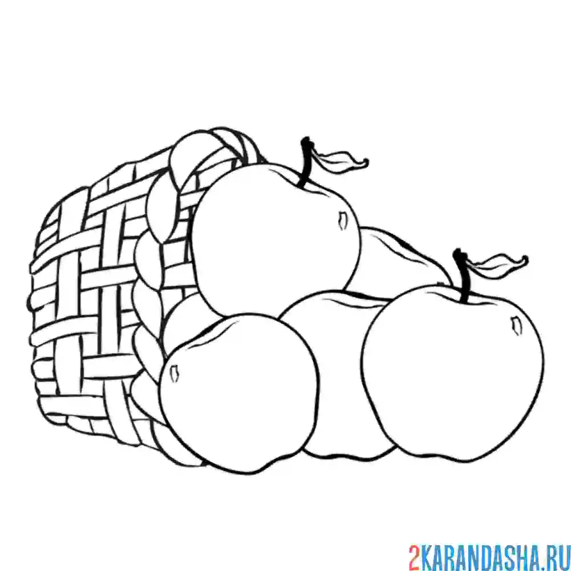 Раскраска яблоки упали из корзинки