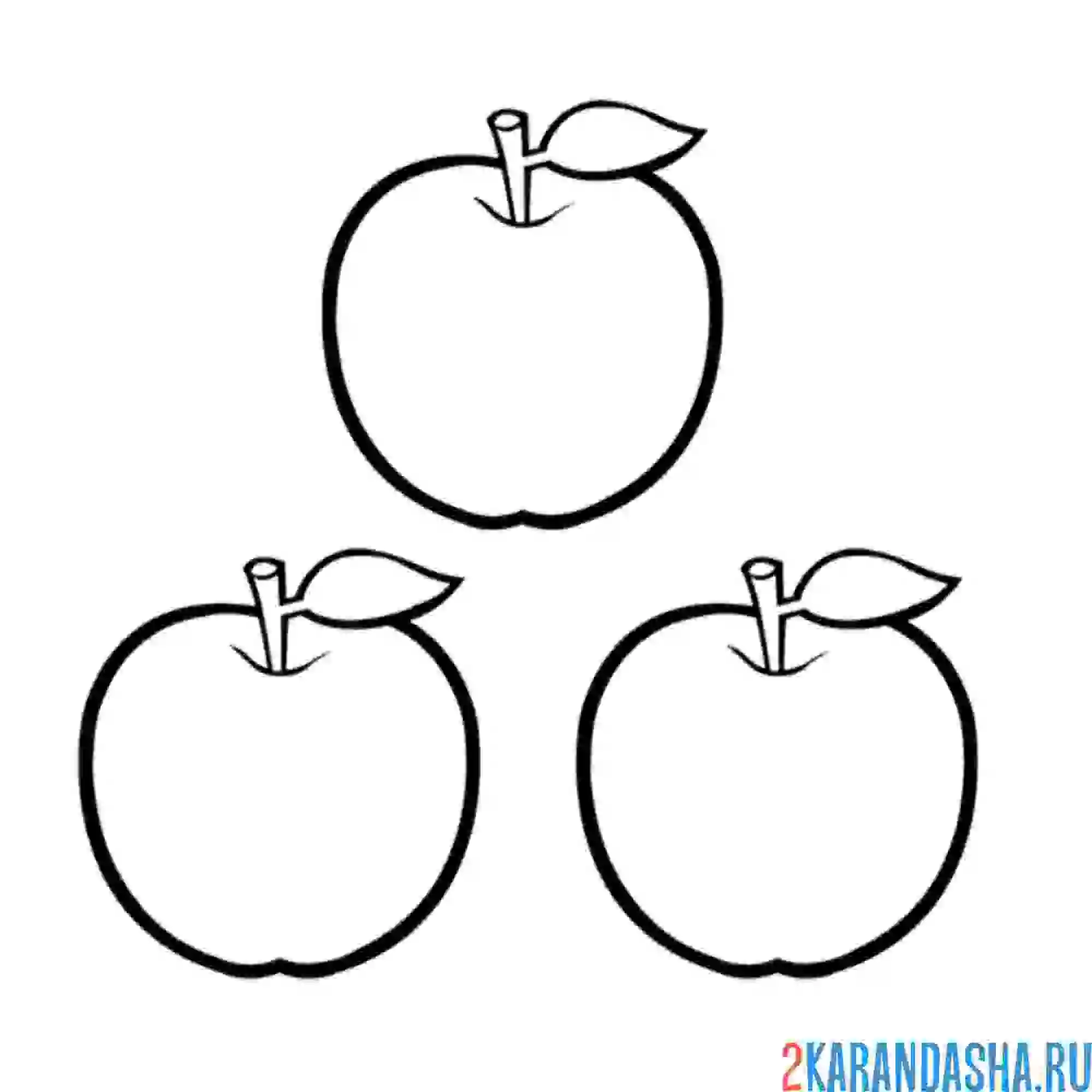 Раскраска 3 яблока