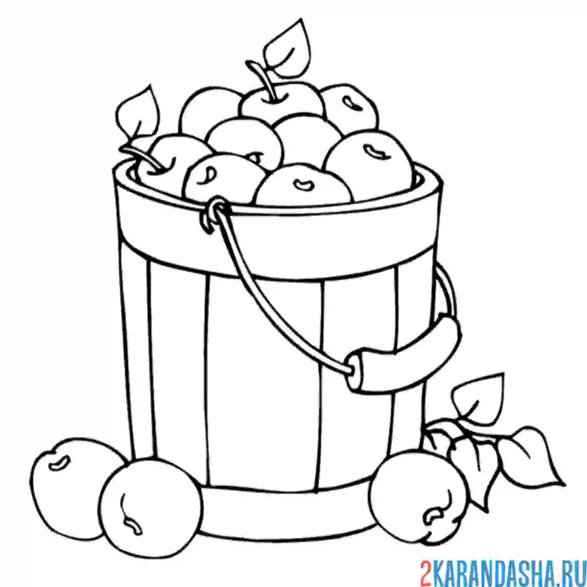 Раскраска ведро с яблоками