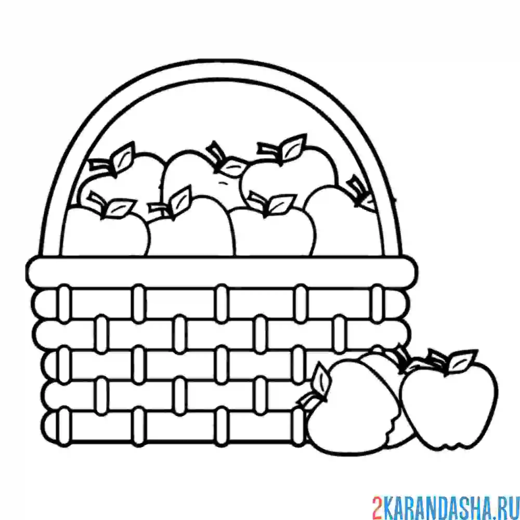 Раскраска яблоки в корзинке