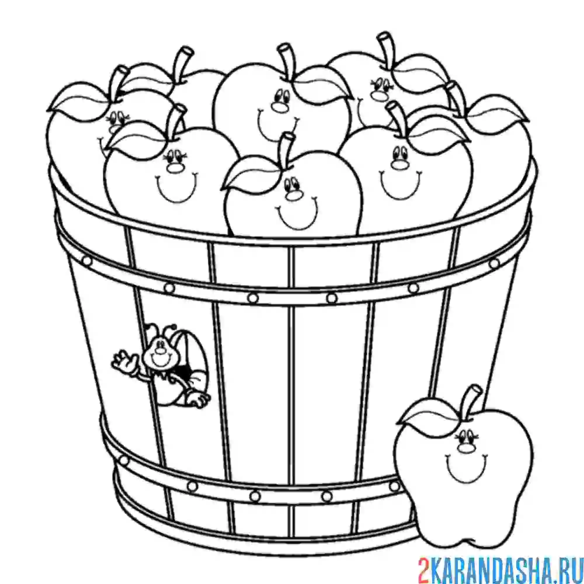 Раскраска ведерко с яблоками