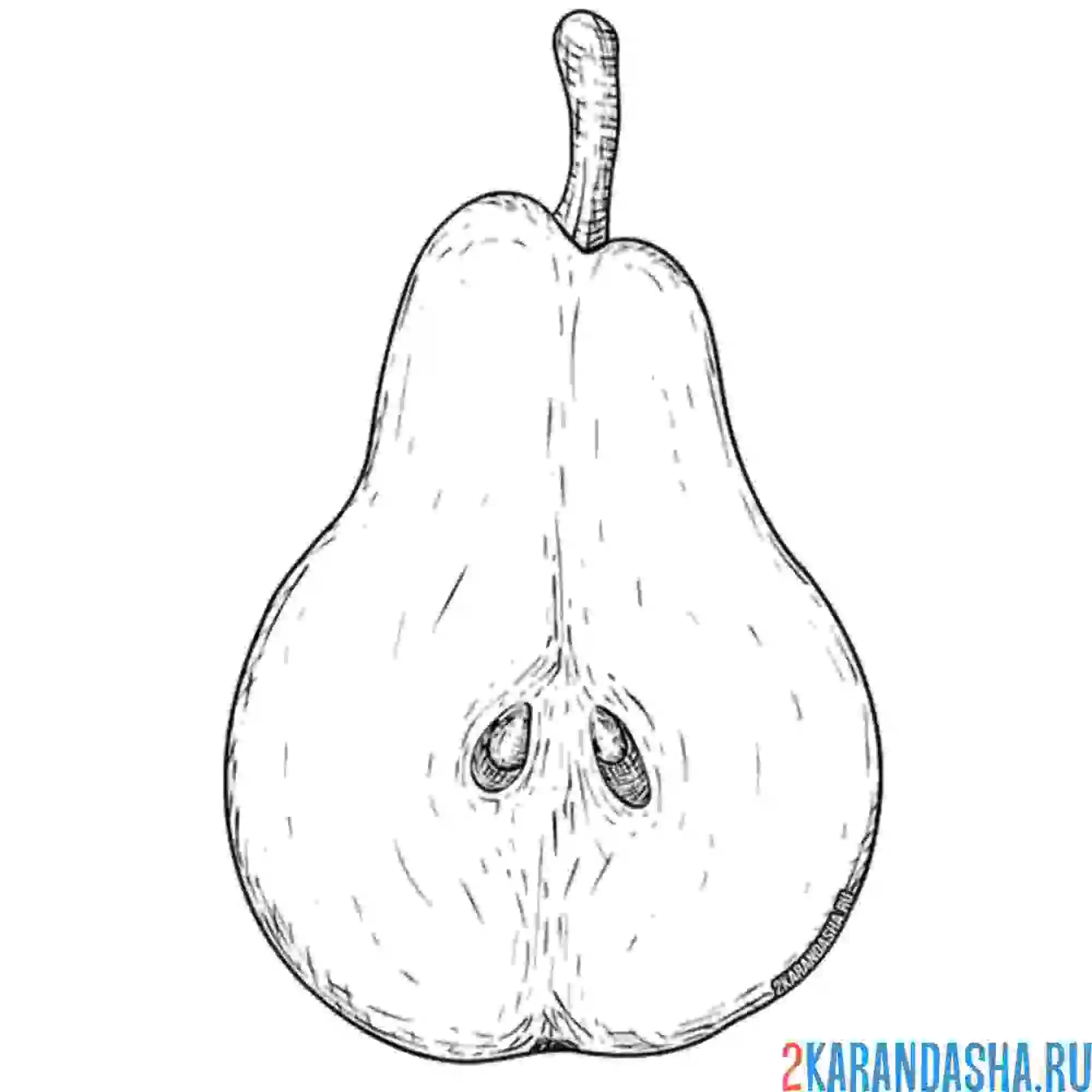 Раскраска груша разрезанная