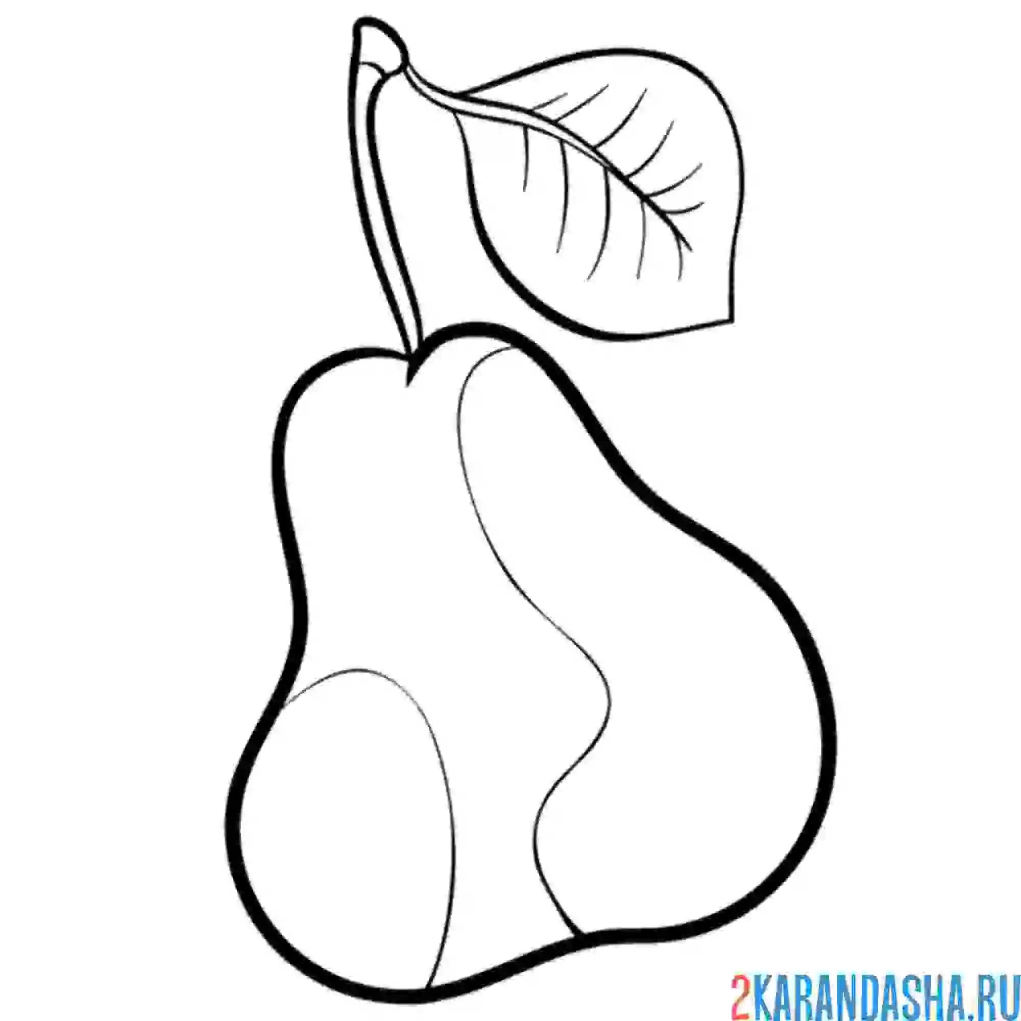 Раскраска груша с дерева