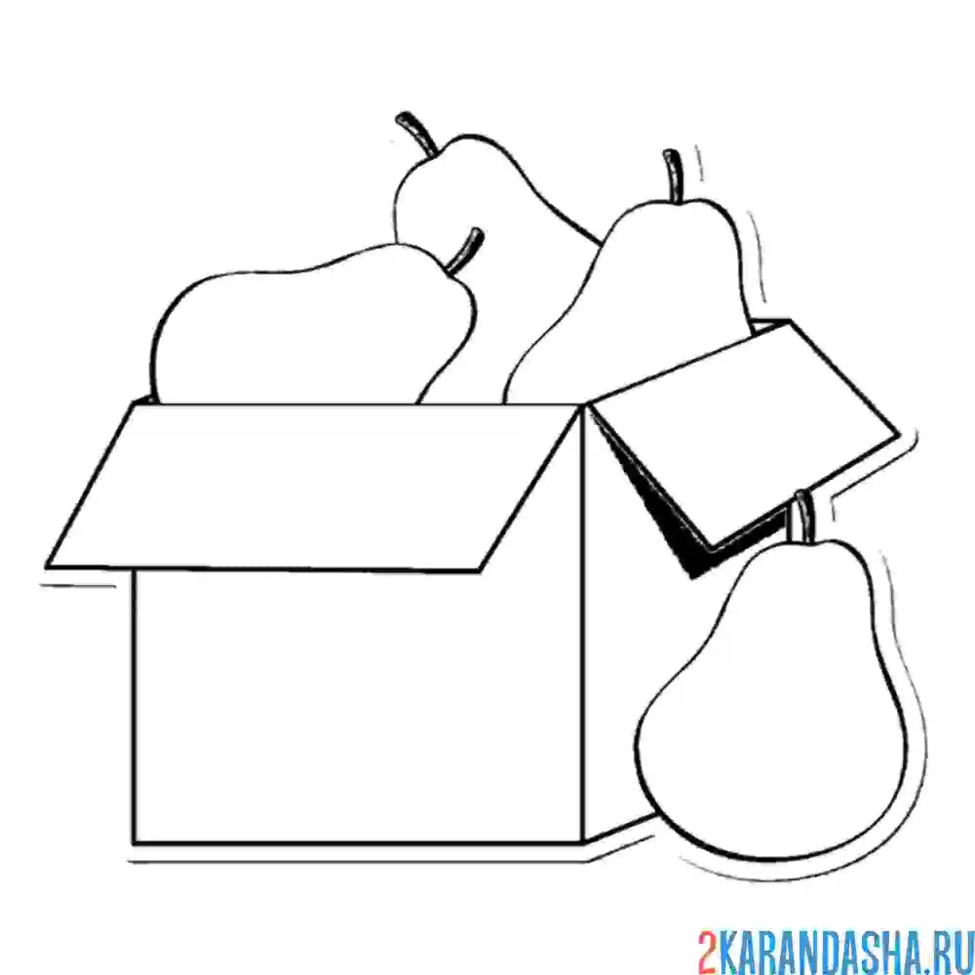 Раскраска коробка с грушами