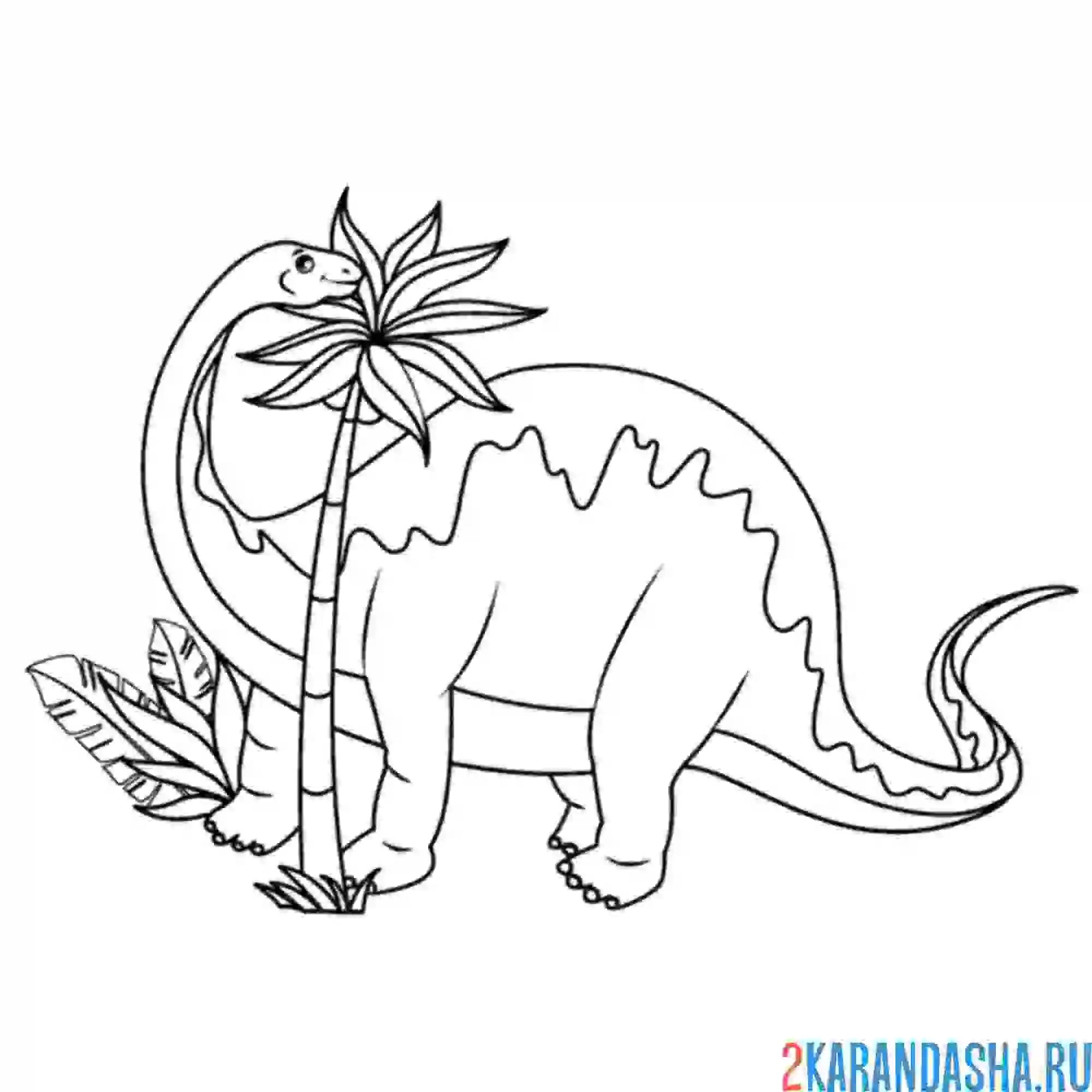 Раскраска диплодок динозавр