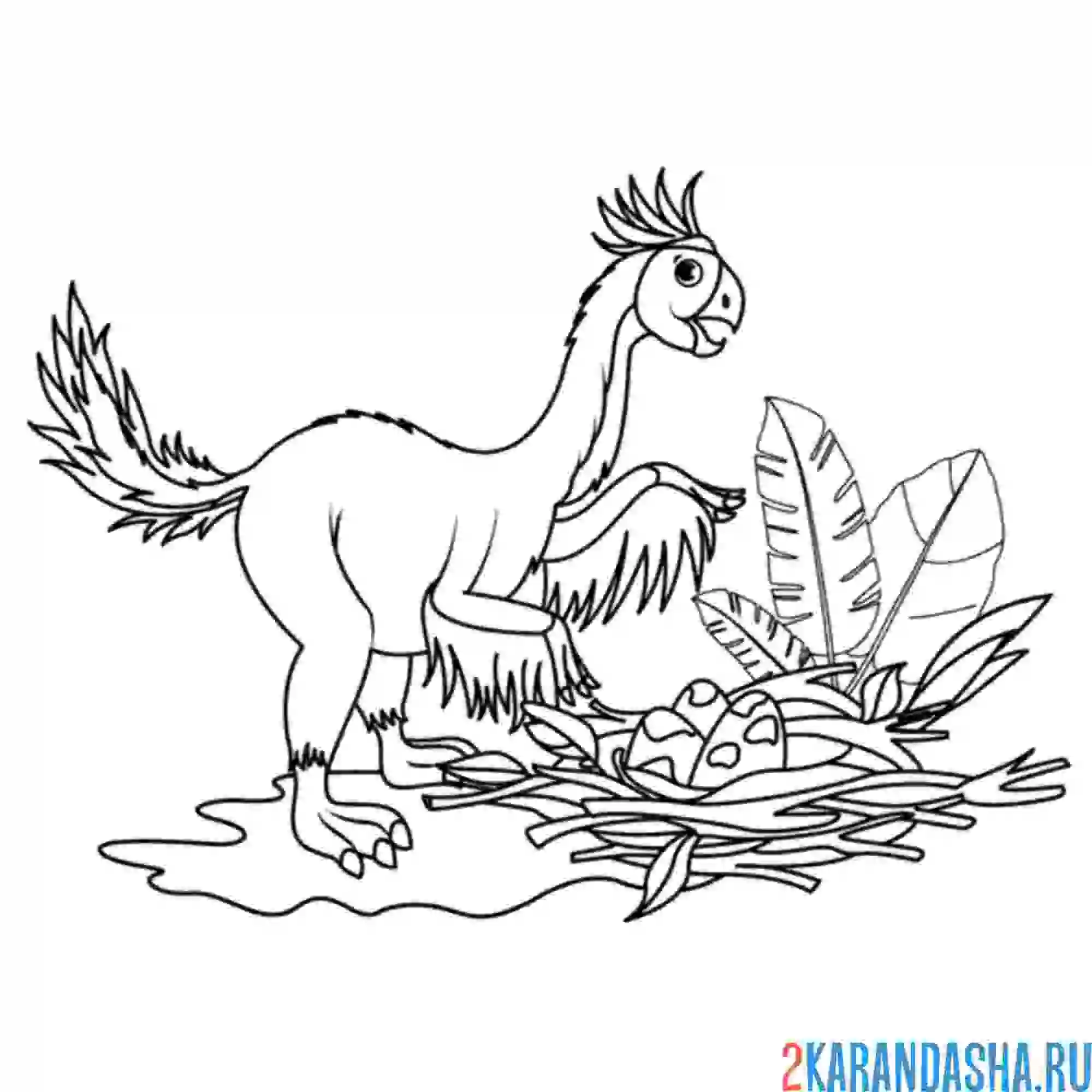 Раскраска гигантораптор динозавр