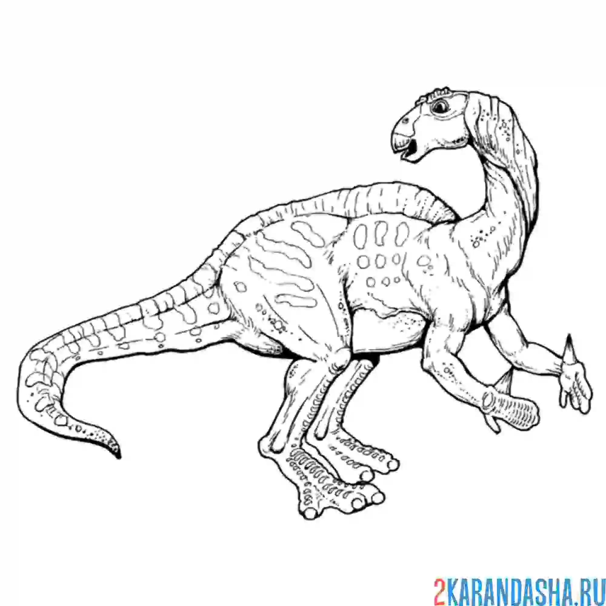 Раскраска динозавр формат а4. Тарбозавр раскраска динозавра. Игуанодон динозавр раскраска. Раскраски для детей Тарбозавр. Тарбозавр разукрашка.