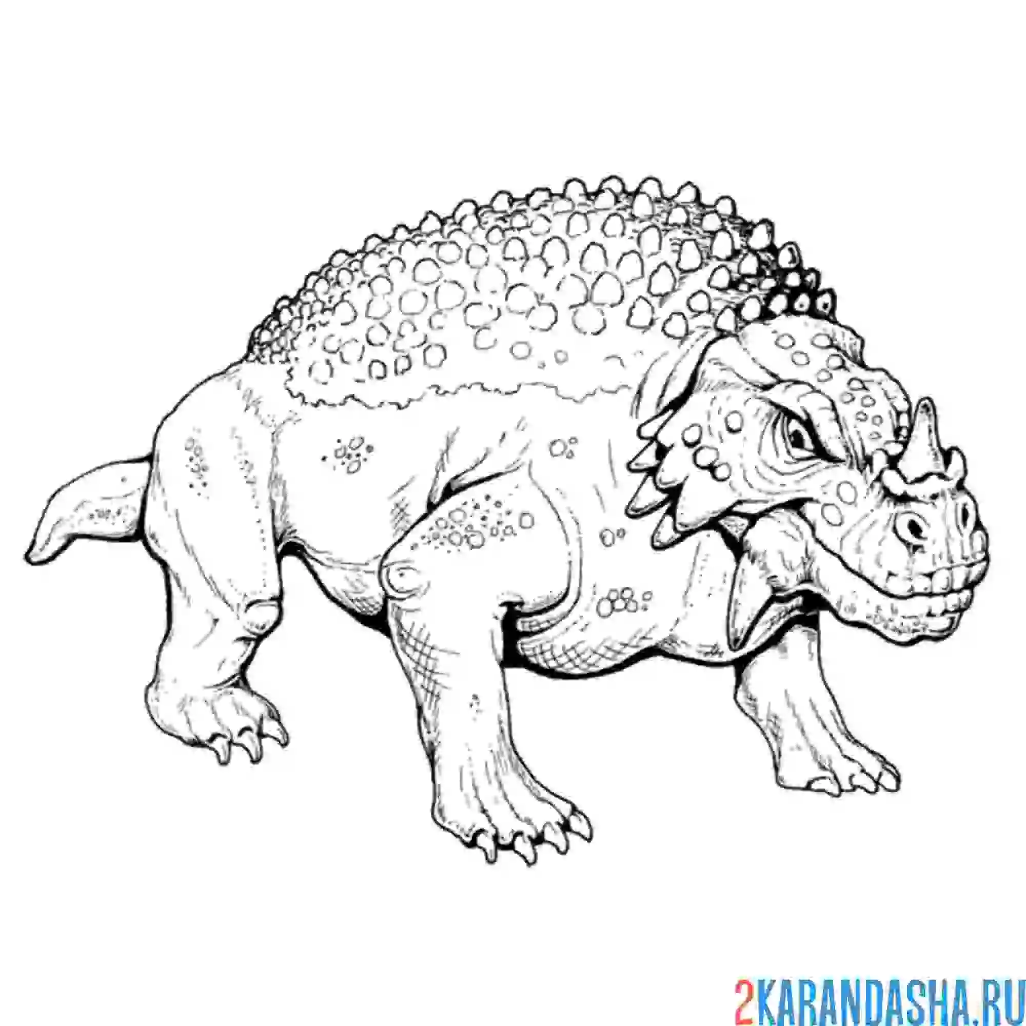 Раскраска скутозавр динозавр