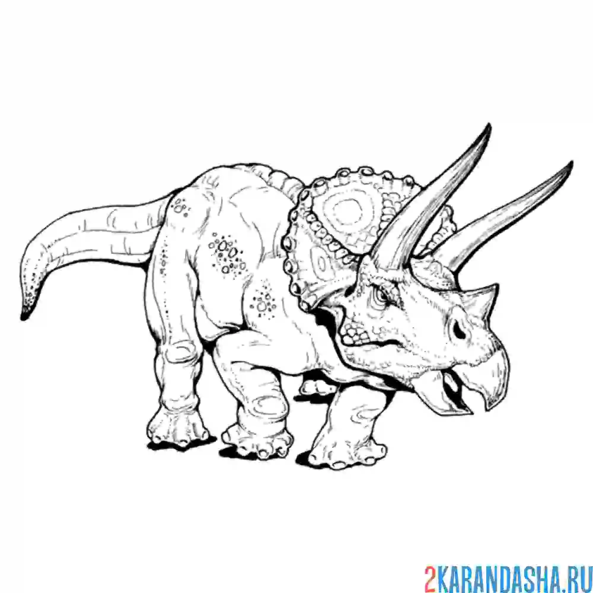 Динозавры для раскрашивания. Тарбозавр и Трицератопс. Трицератопс cartoon спереди. Трицератопс динозавр рисунок для детей.