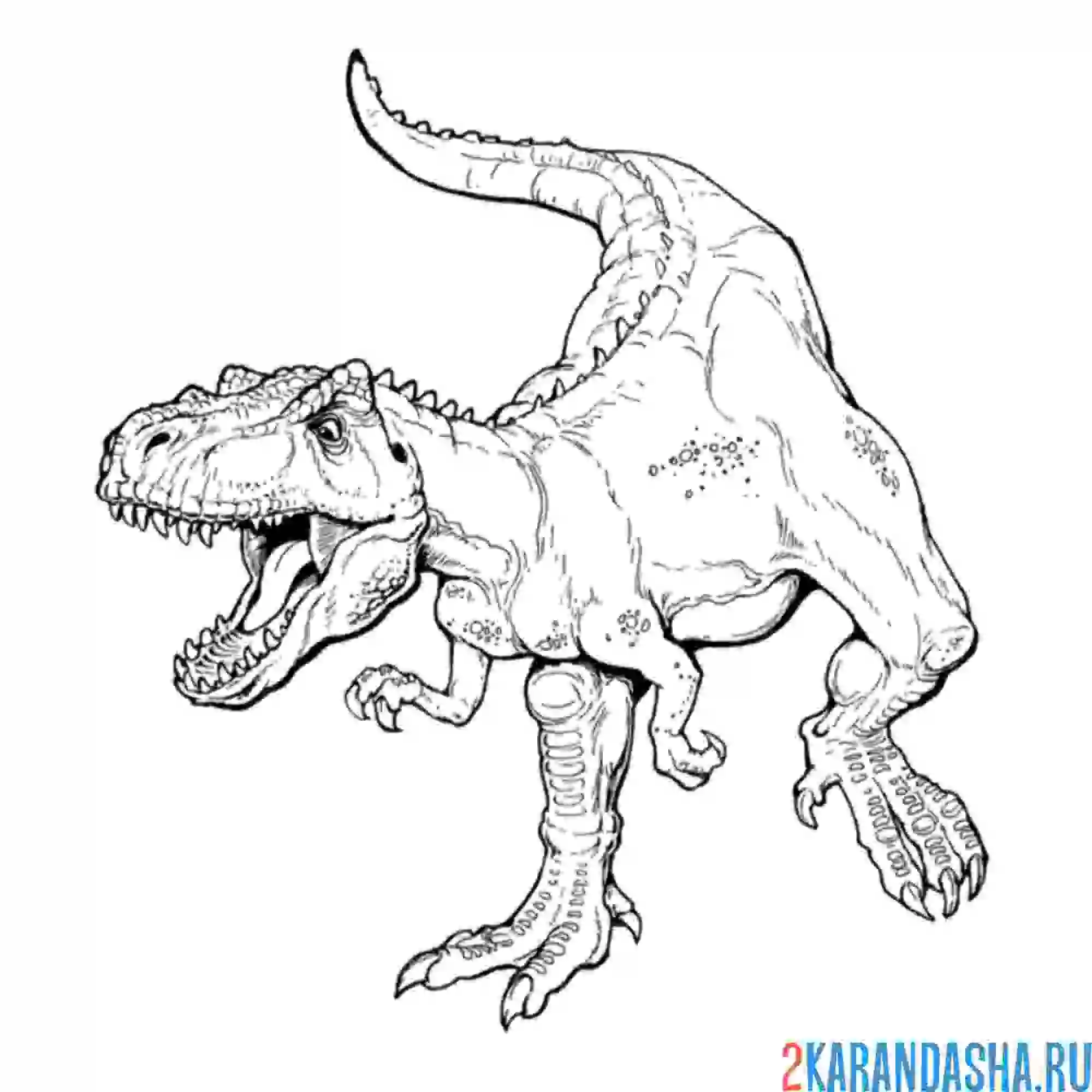 Раскраска тарбозавр динозавр