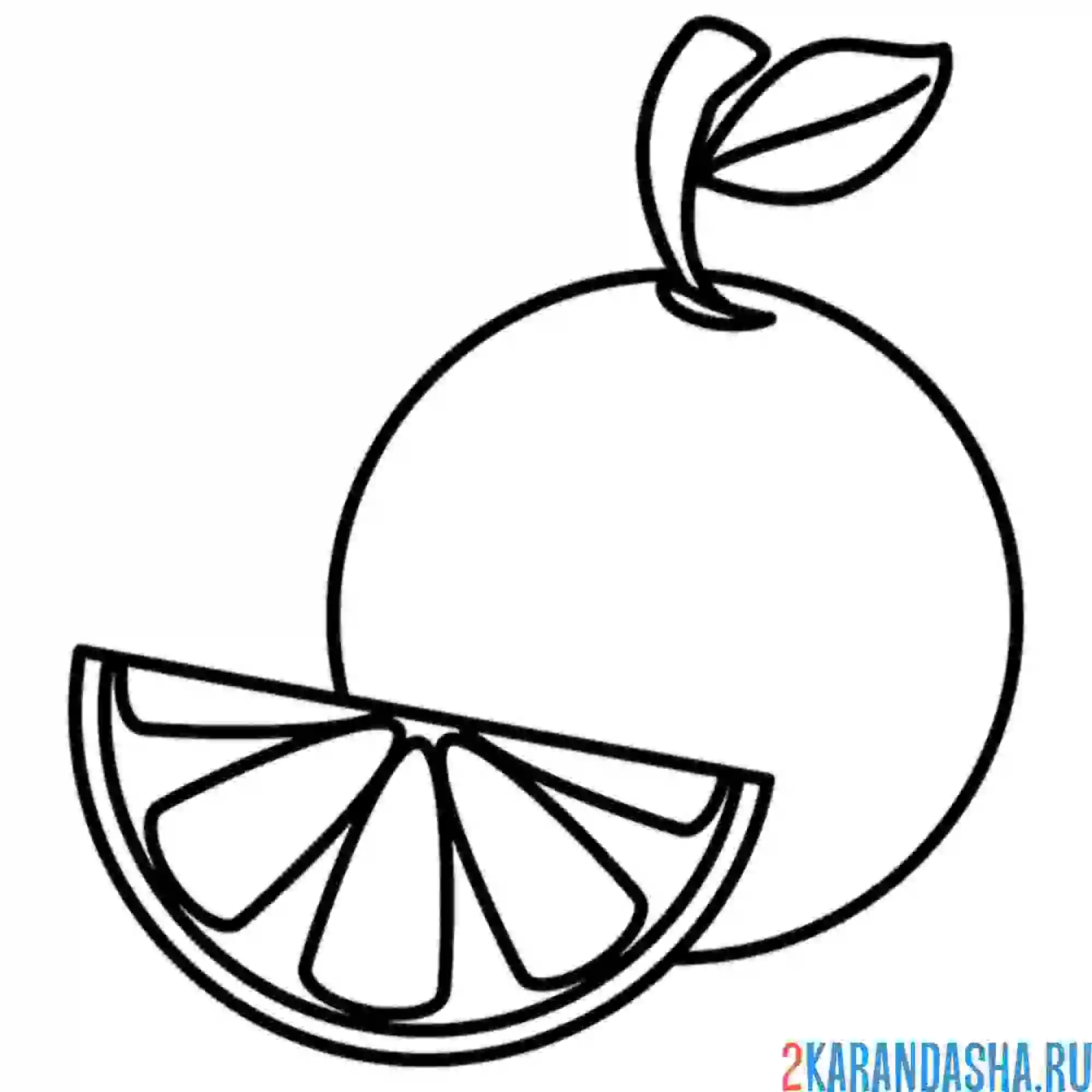 Раскраска апельсин с долькой рядом