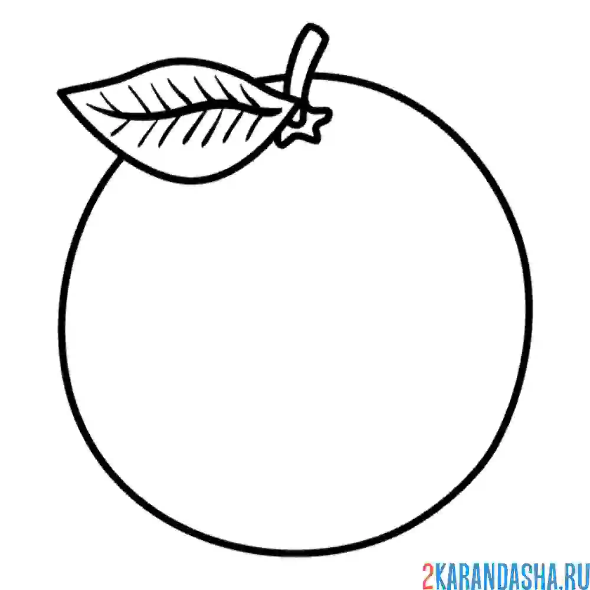 Раскраска апельсин с листочком