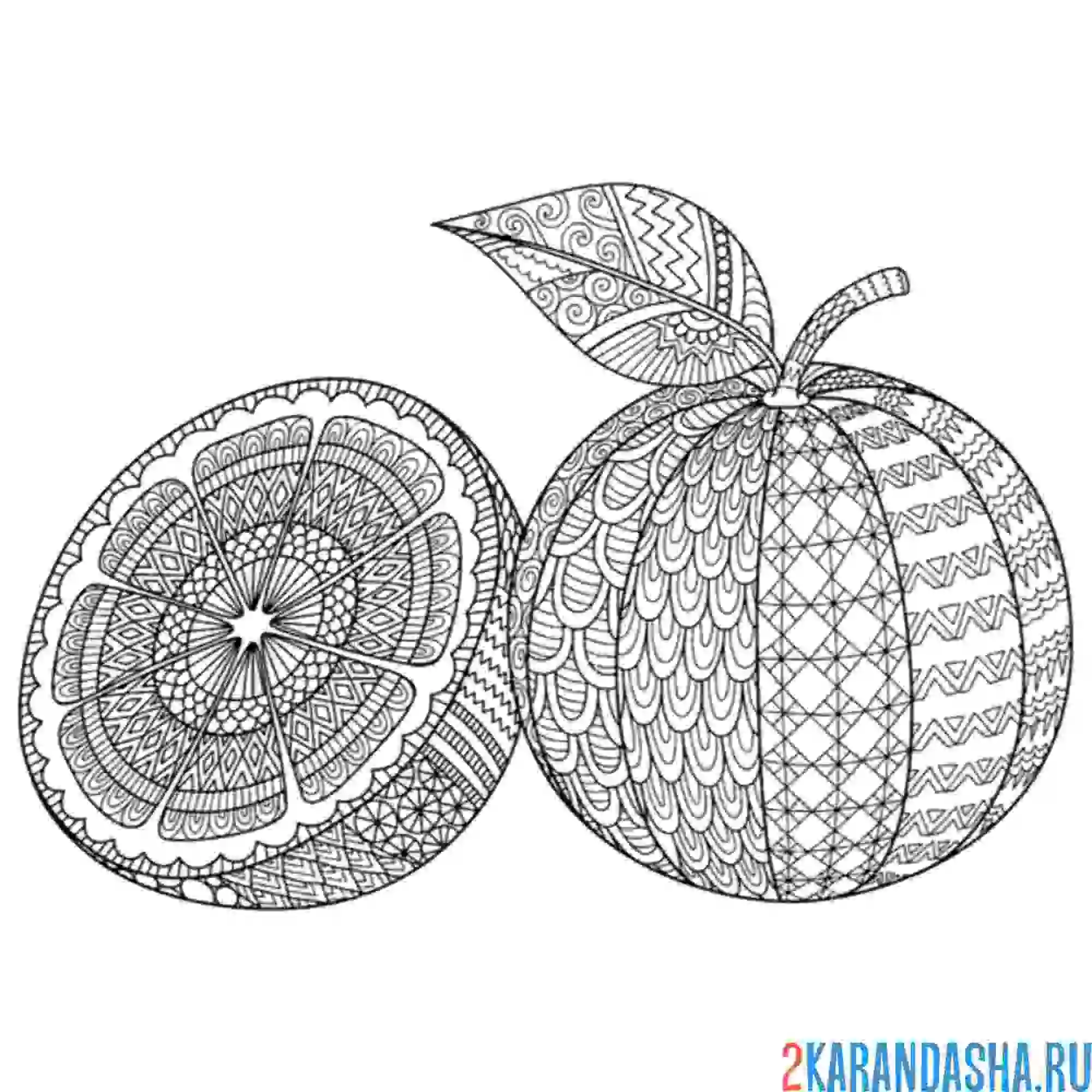 Раскраска апельсин антистресс