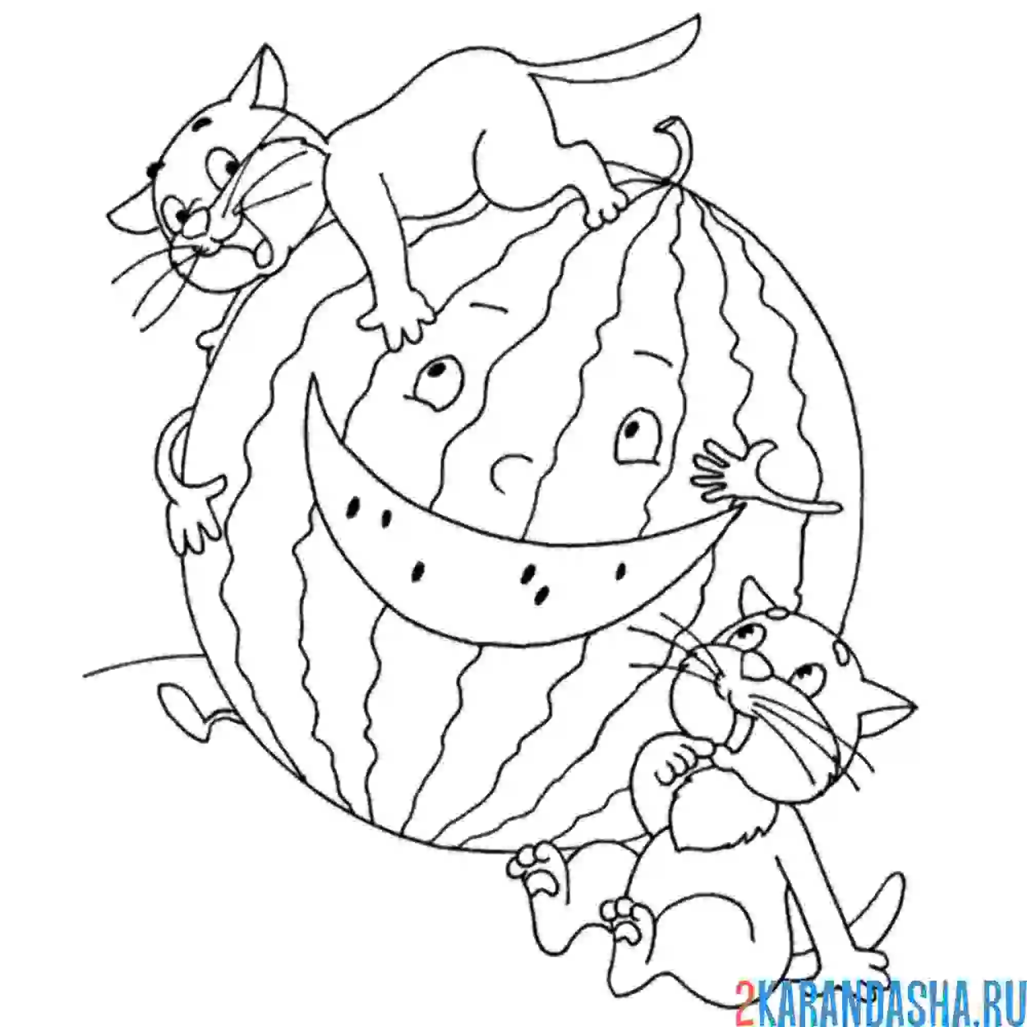 Раскраска котята украли арбуз