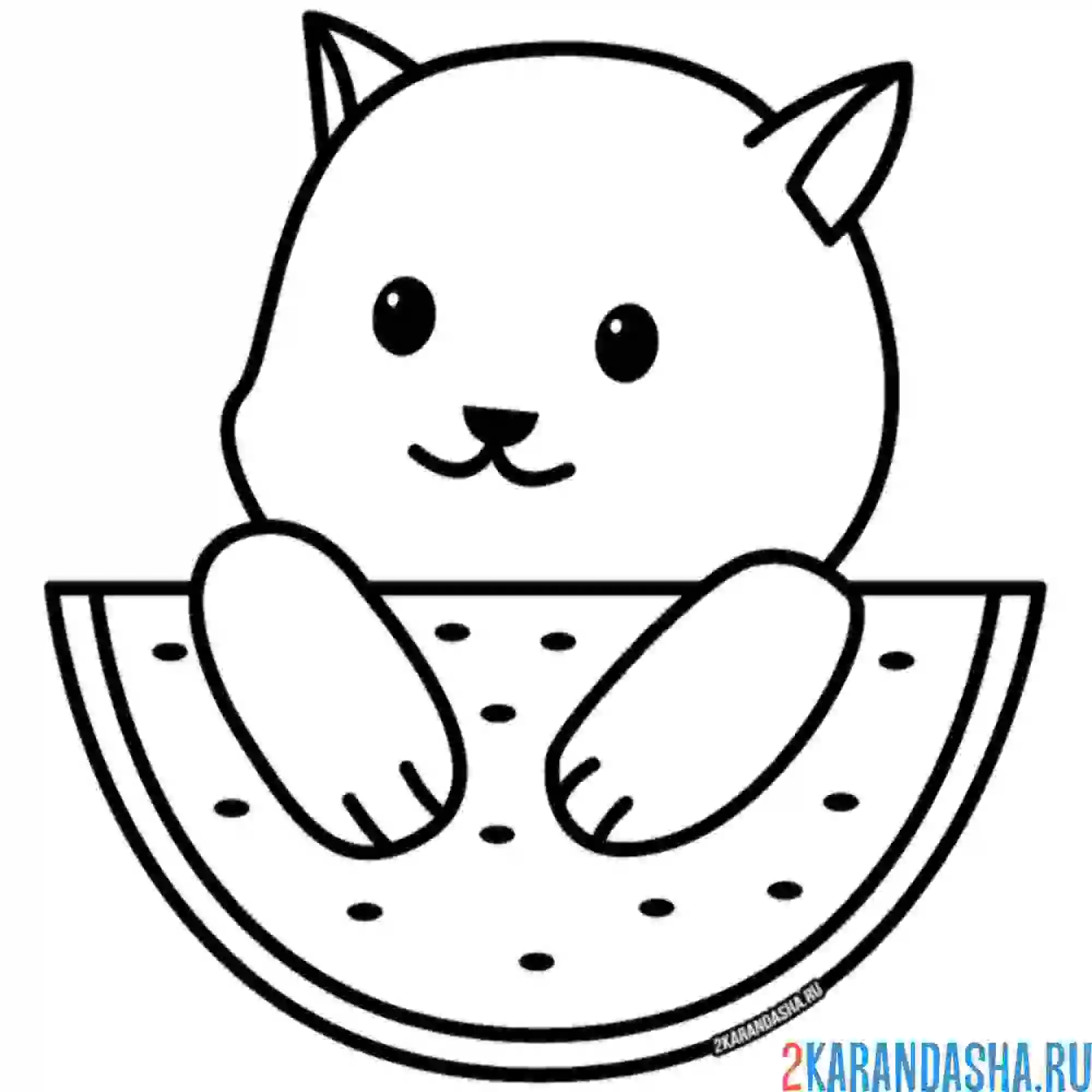 Раскраска котик на арбузе