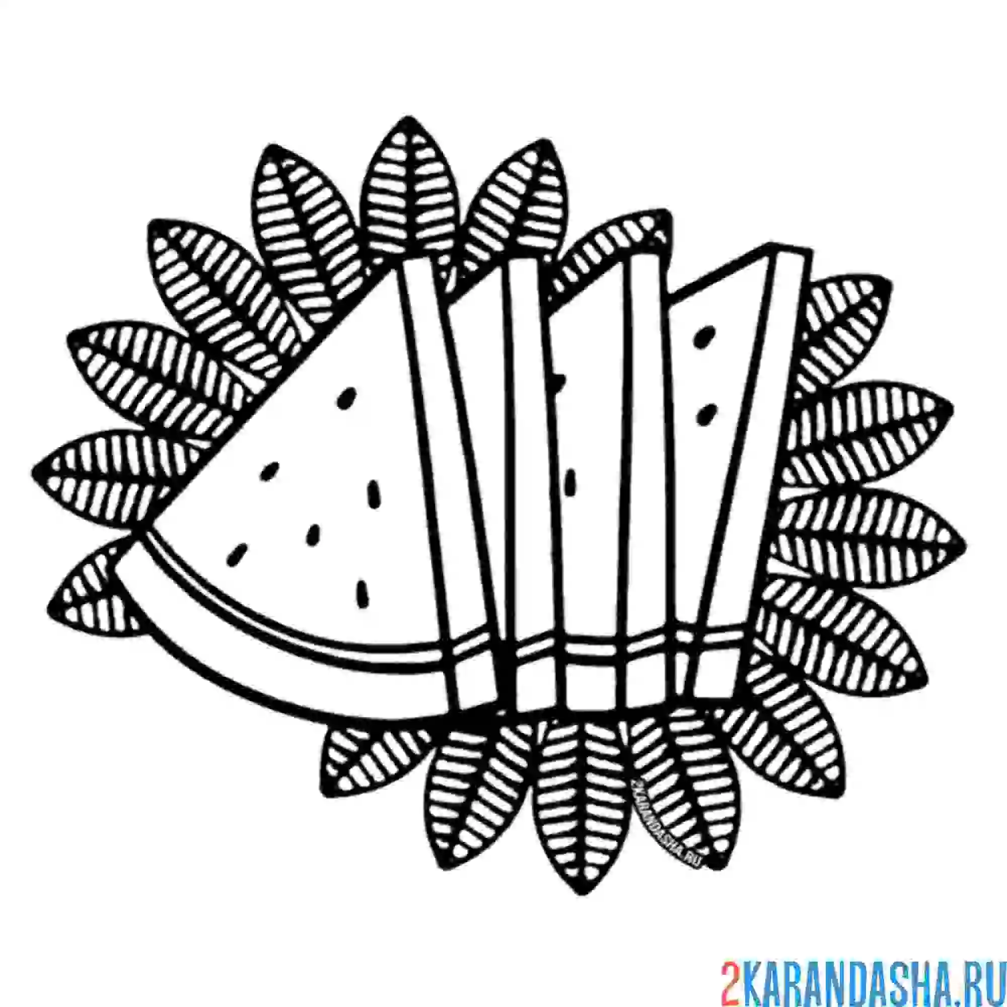 Раскраска четыре куска арбуза