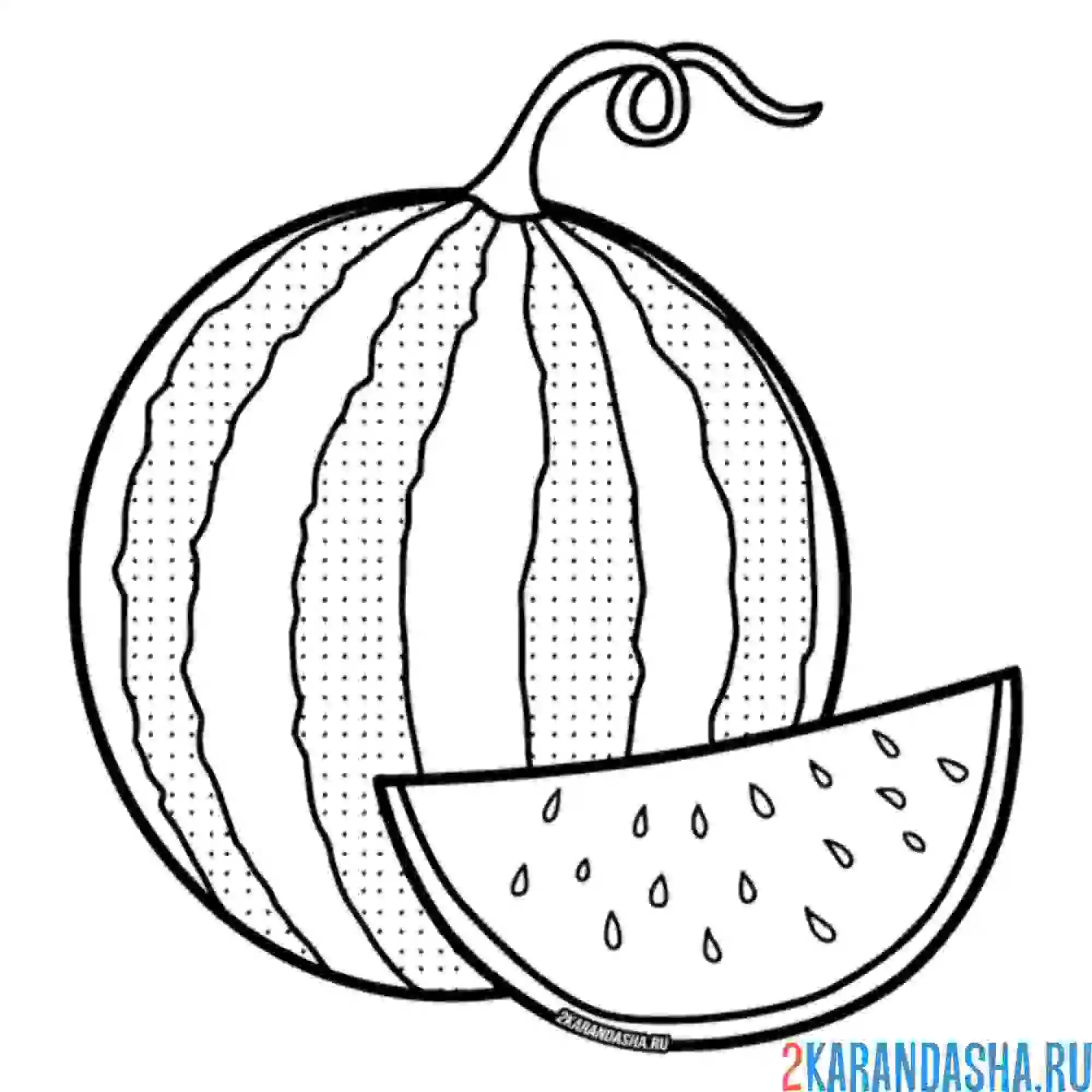 Раскраска настоящий арбуз